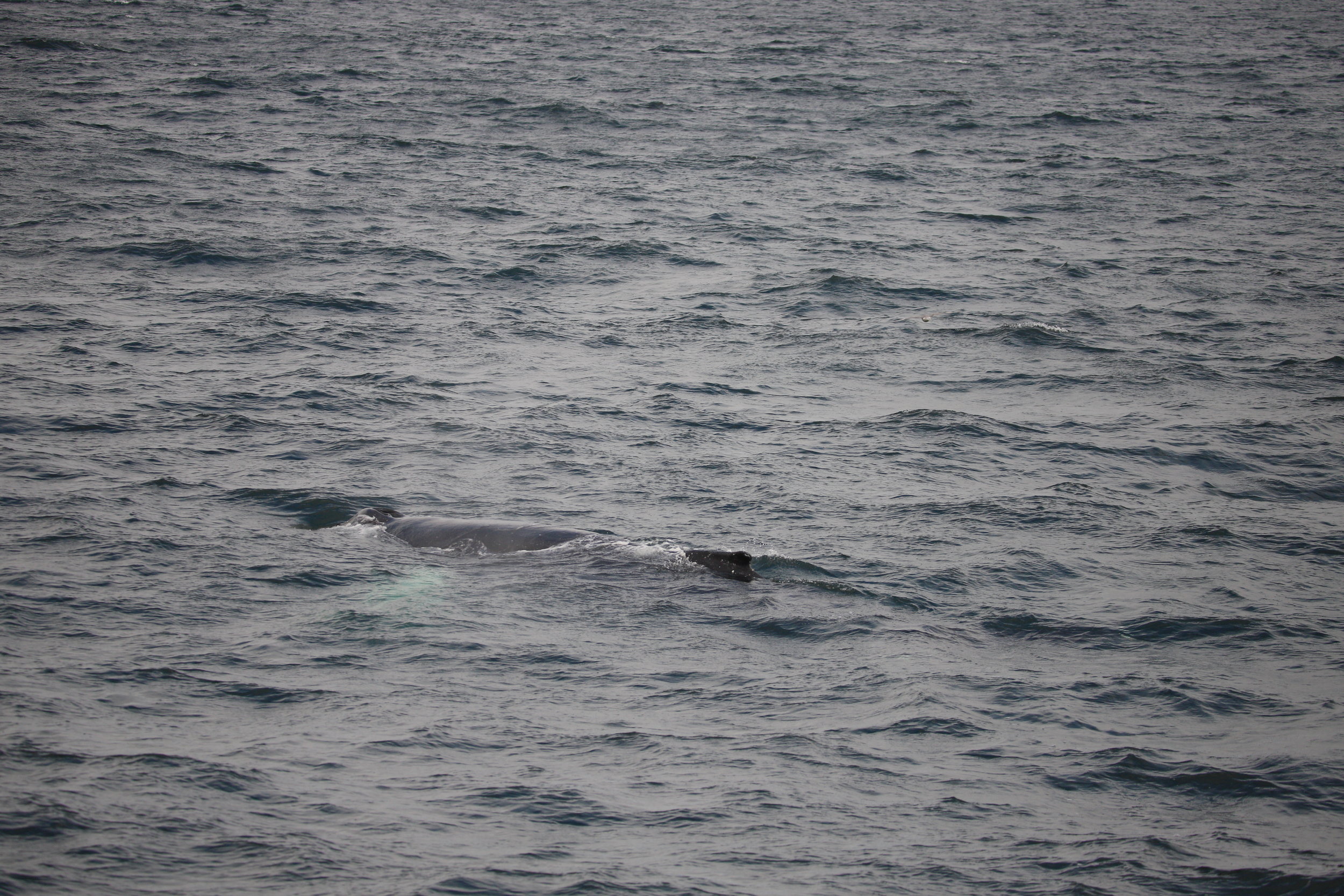 Wednesday, 07 August 2019