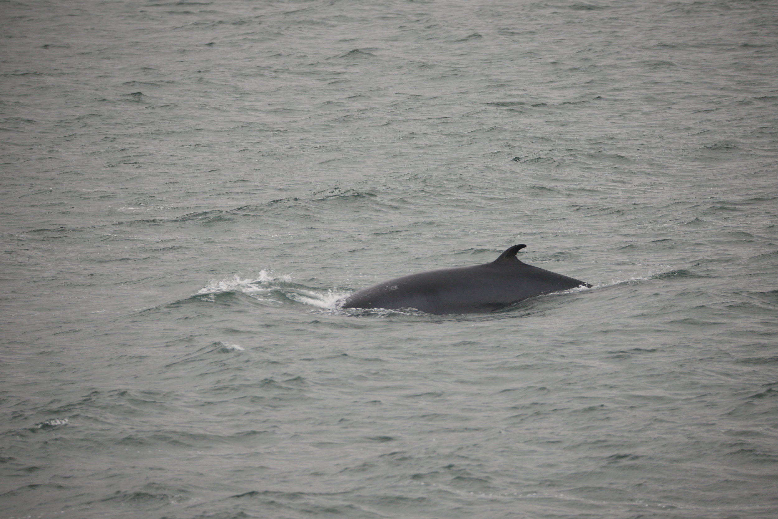 Tuesday, 13 August 2019