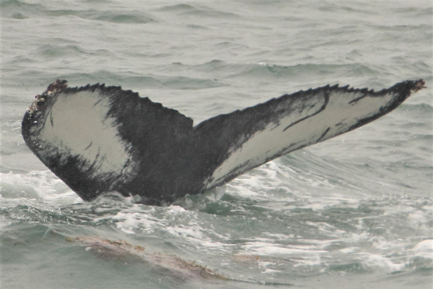 Wednesday, 14 August 2019