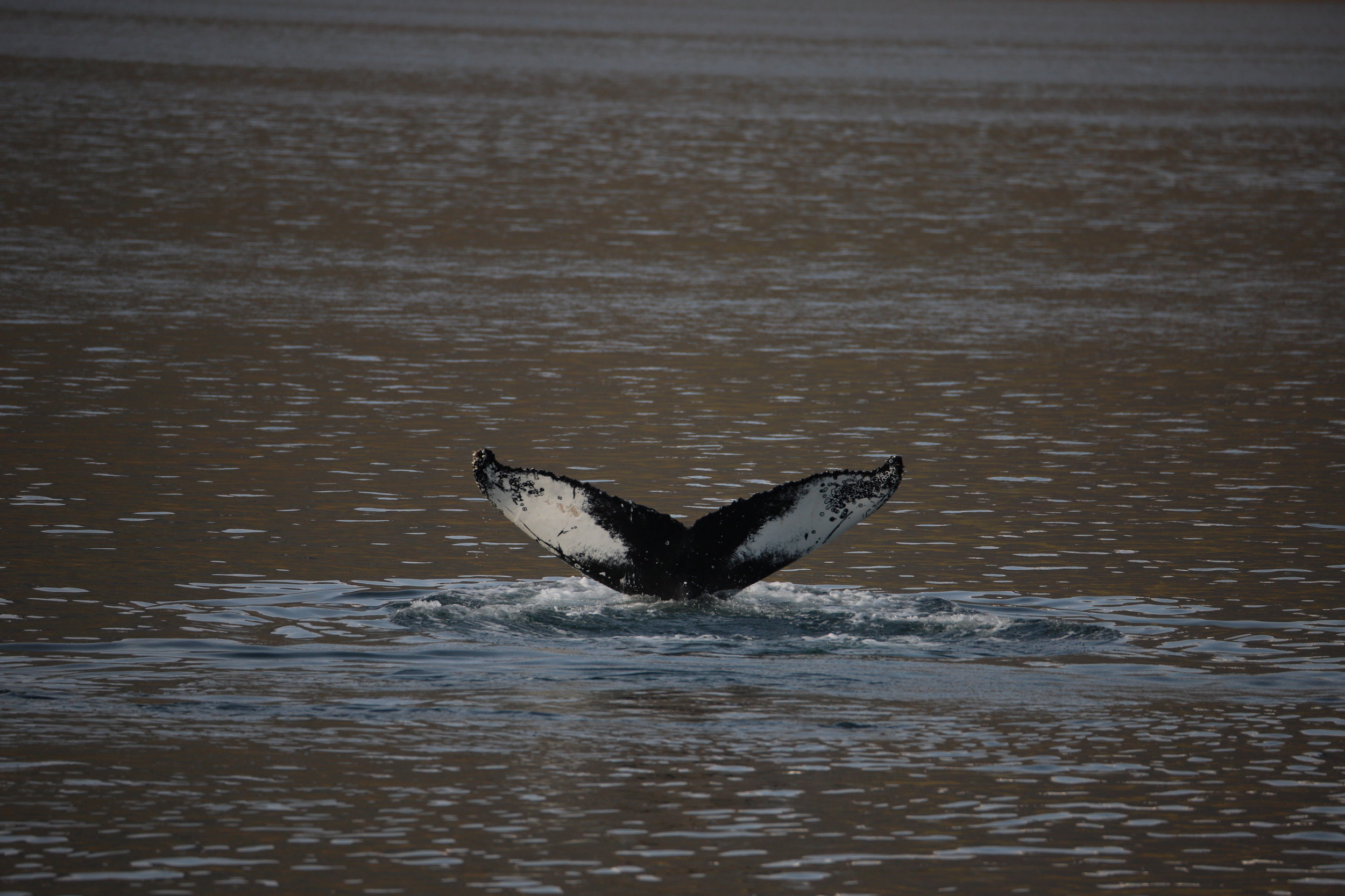 Wednesday, 21 August 2019