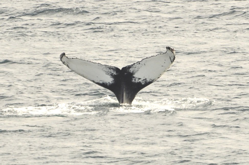 Saturday, 24 August 2019