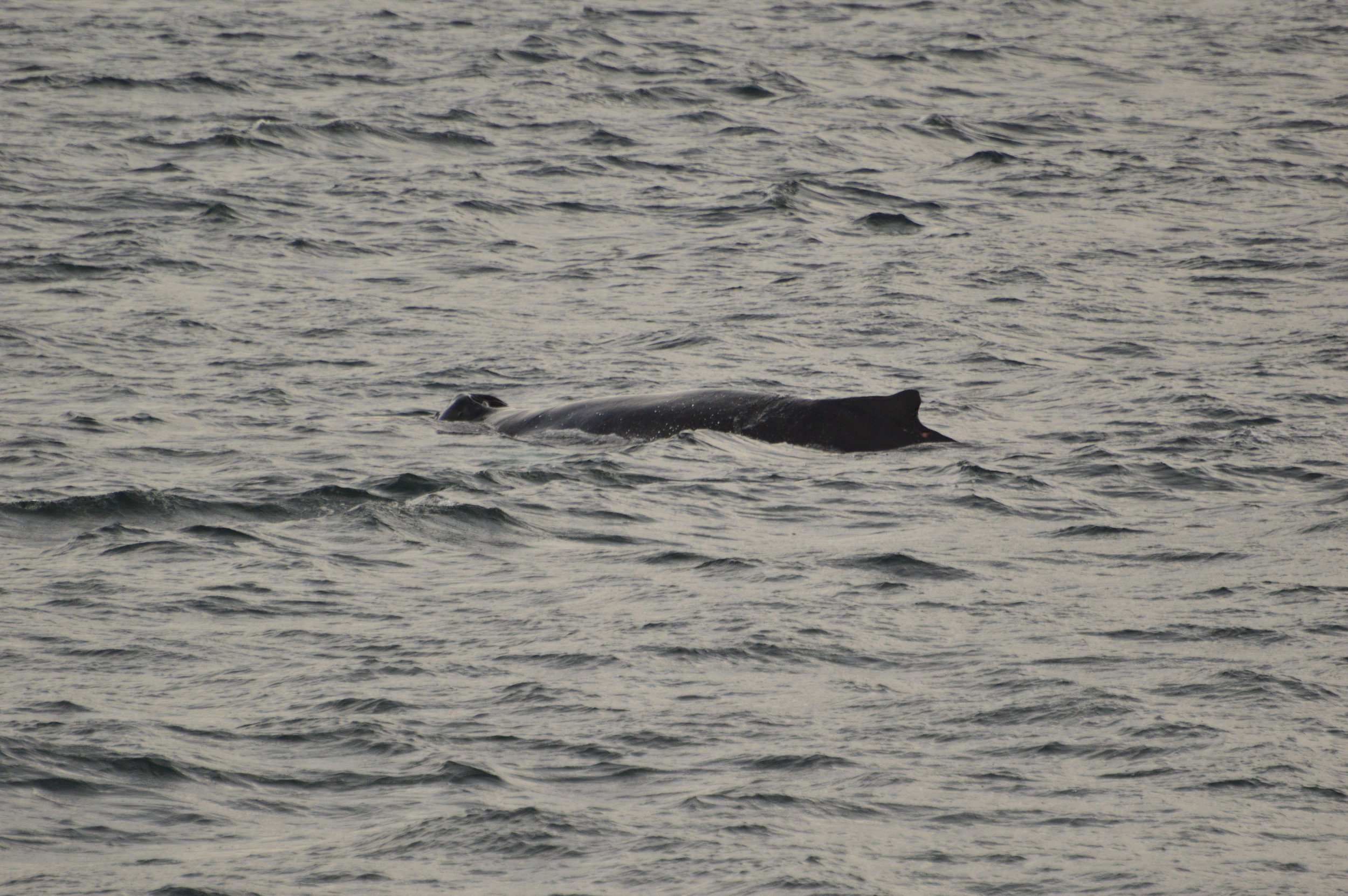Monday, 26 August 2019