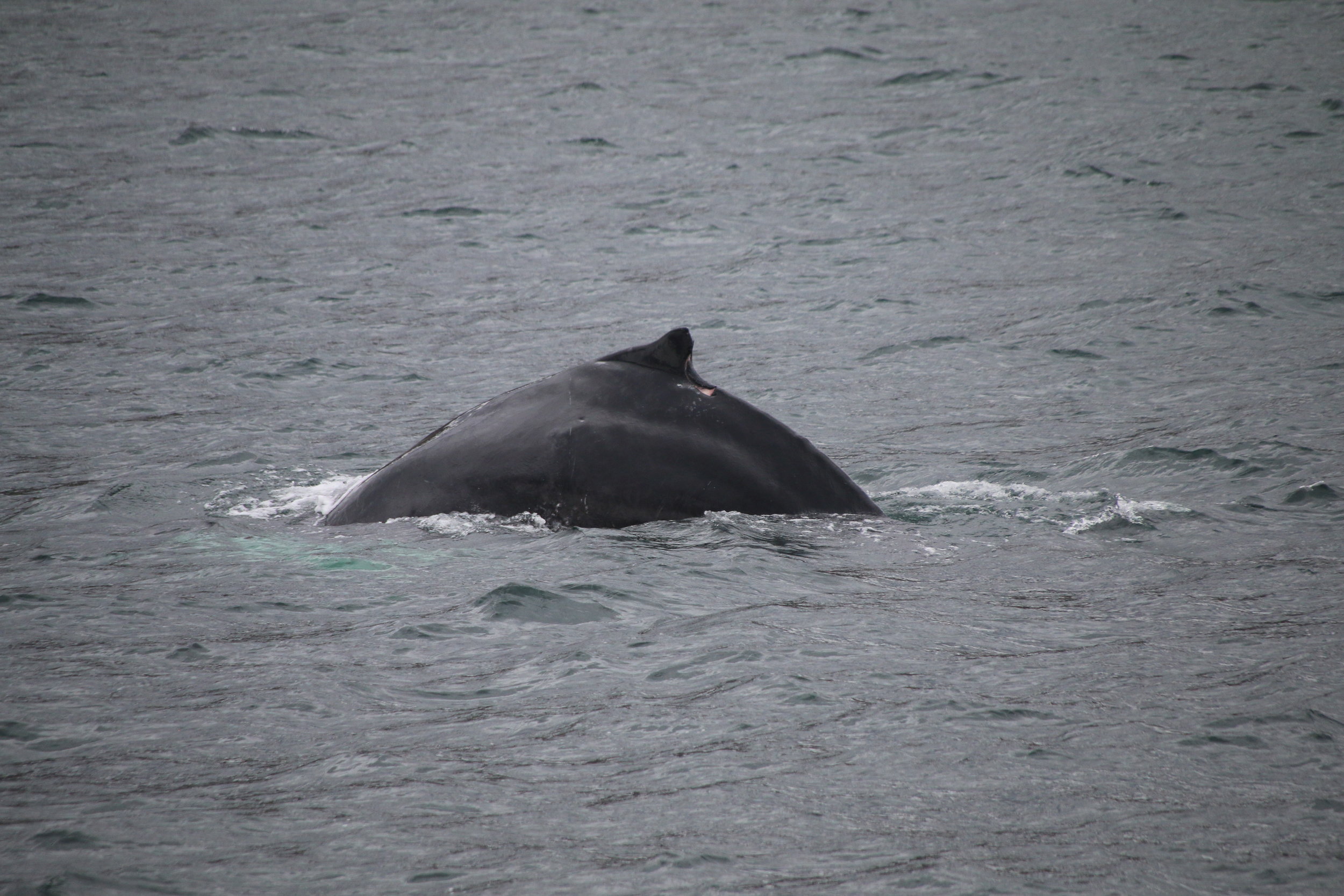 Tuesday, 27 August 2019