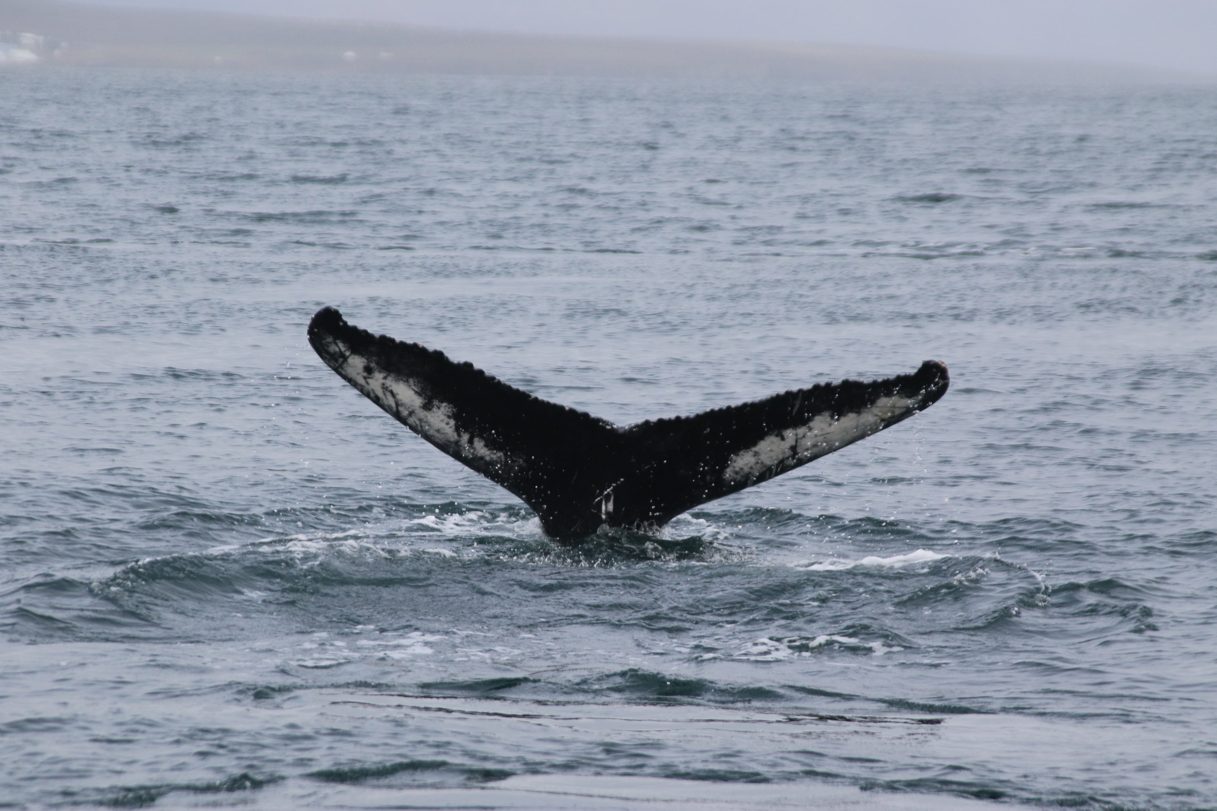 Friday, 30 August 2019