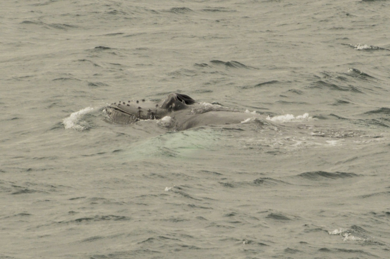 Friday, 30 August 2019