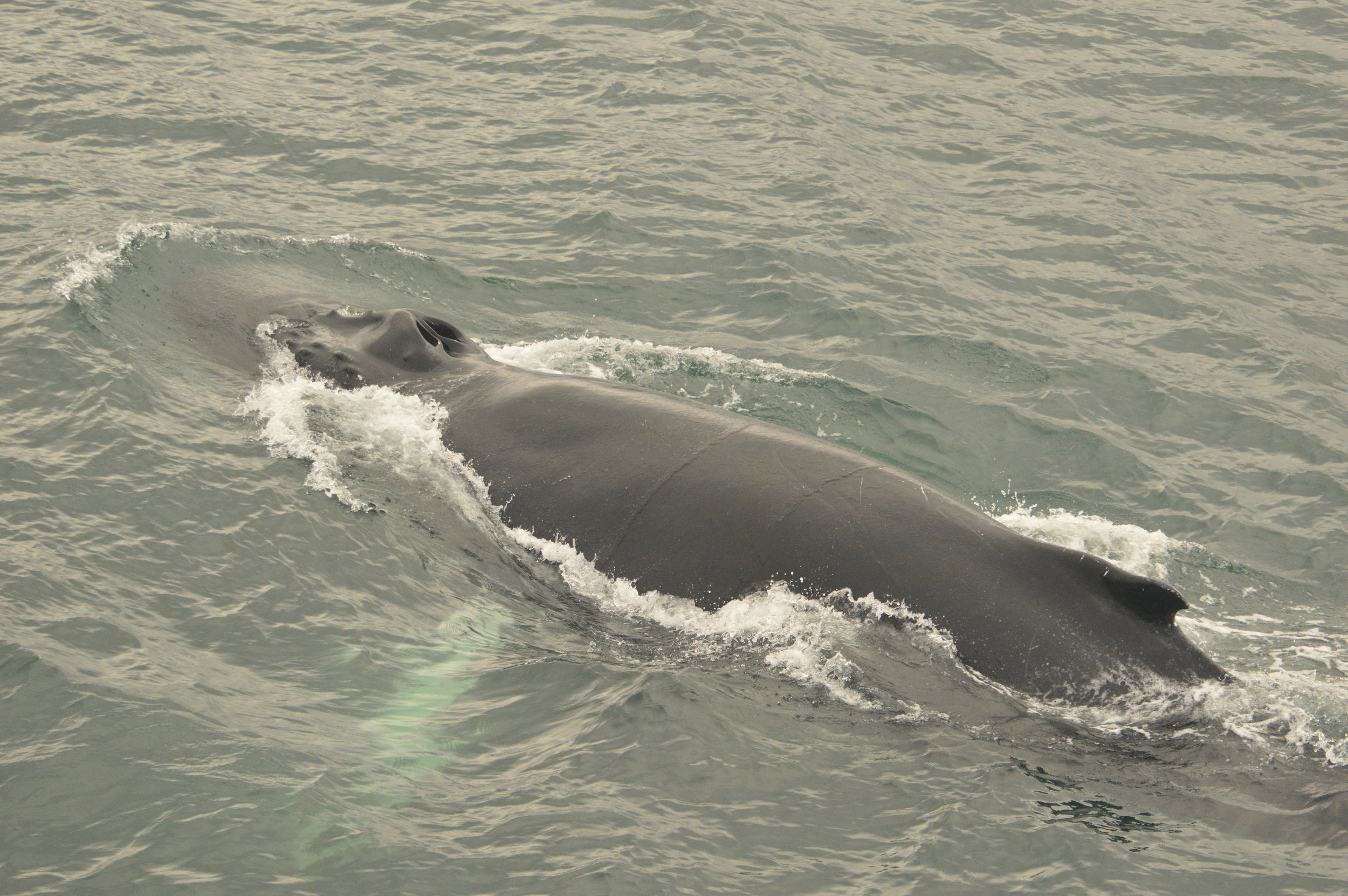 Wednesday, 11 September 2019