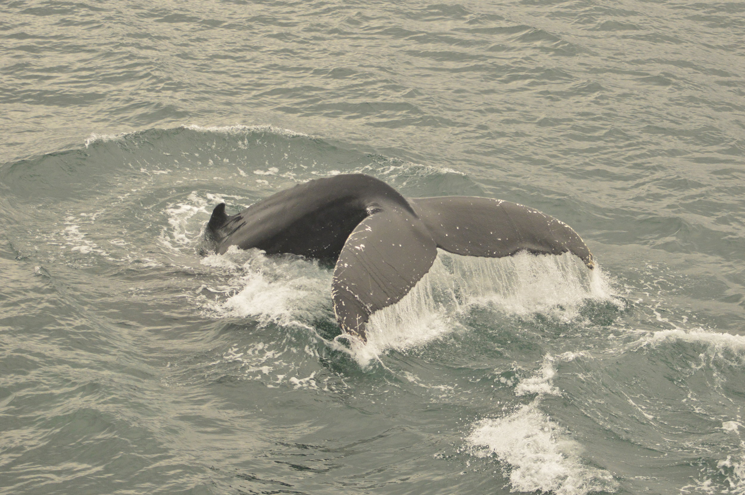 Wednesday, 11 September 2019