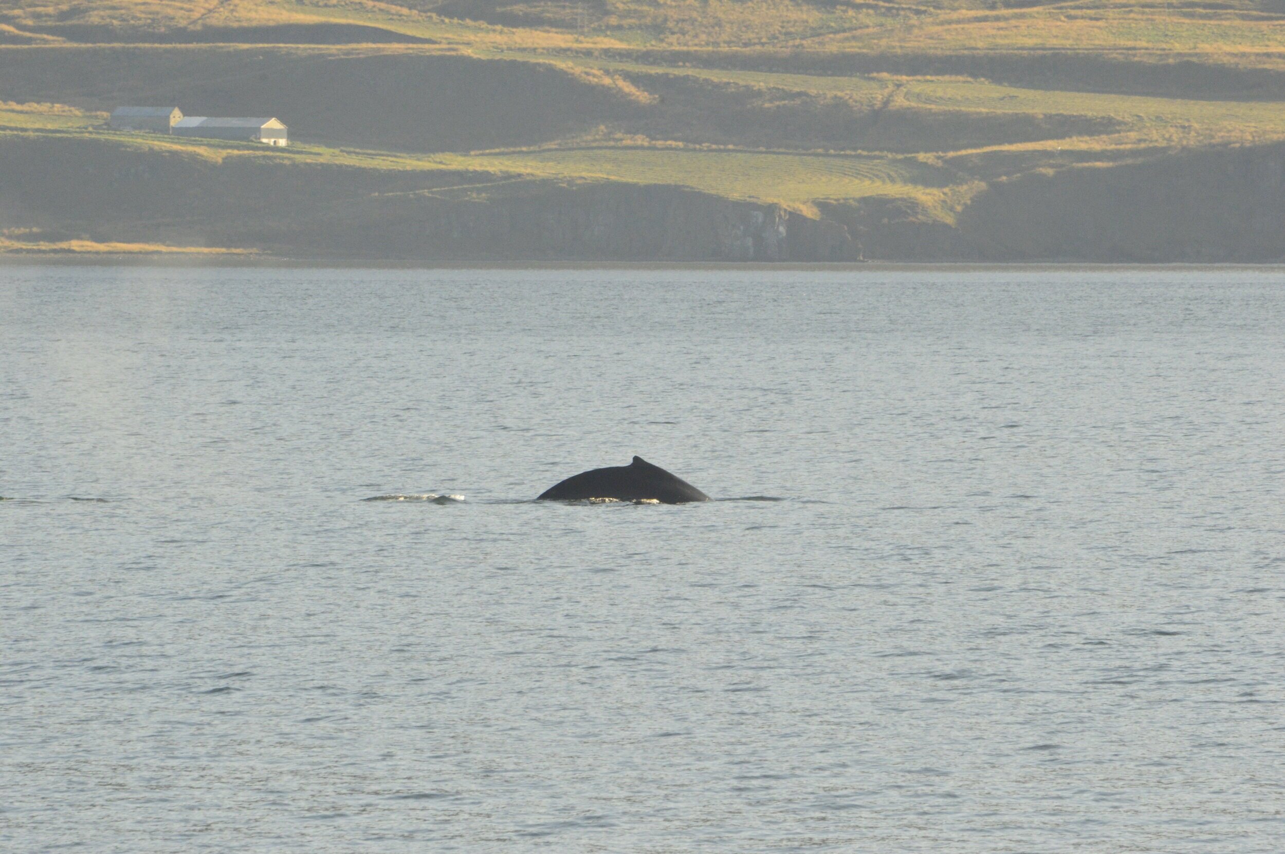 Tuesday, 24 September 2019