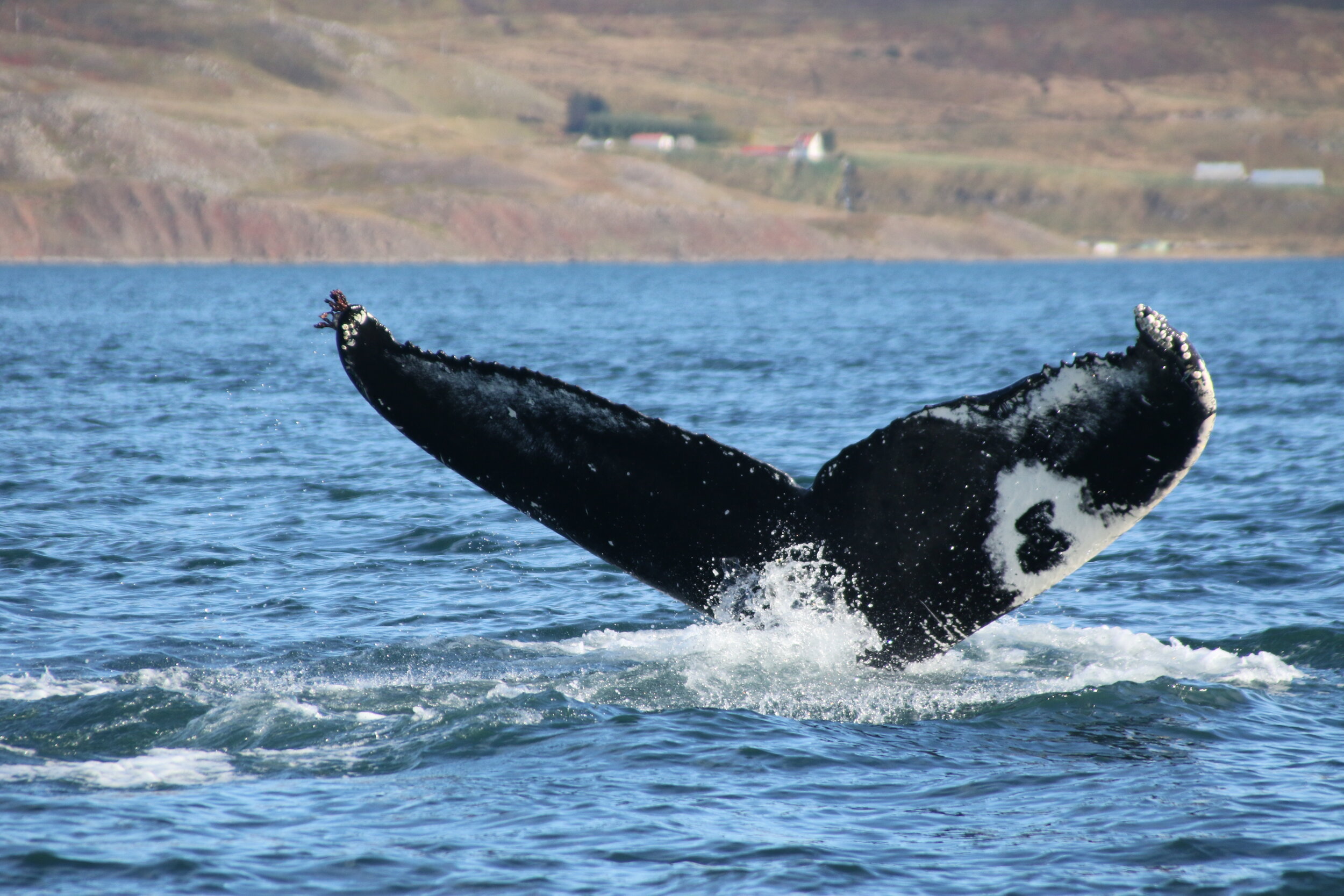 Wednesday, 25 September 2019