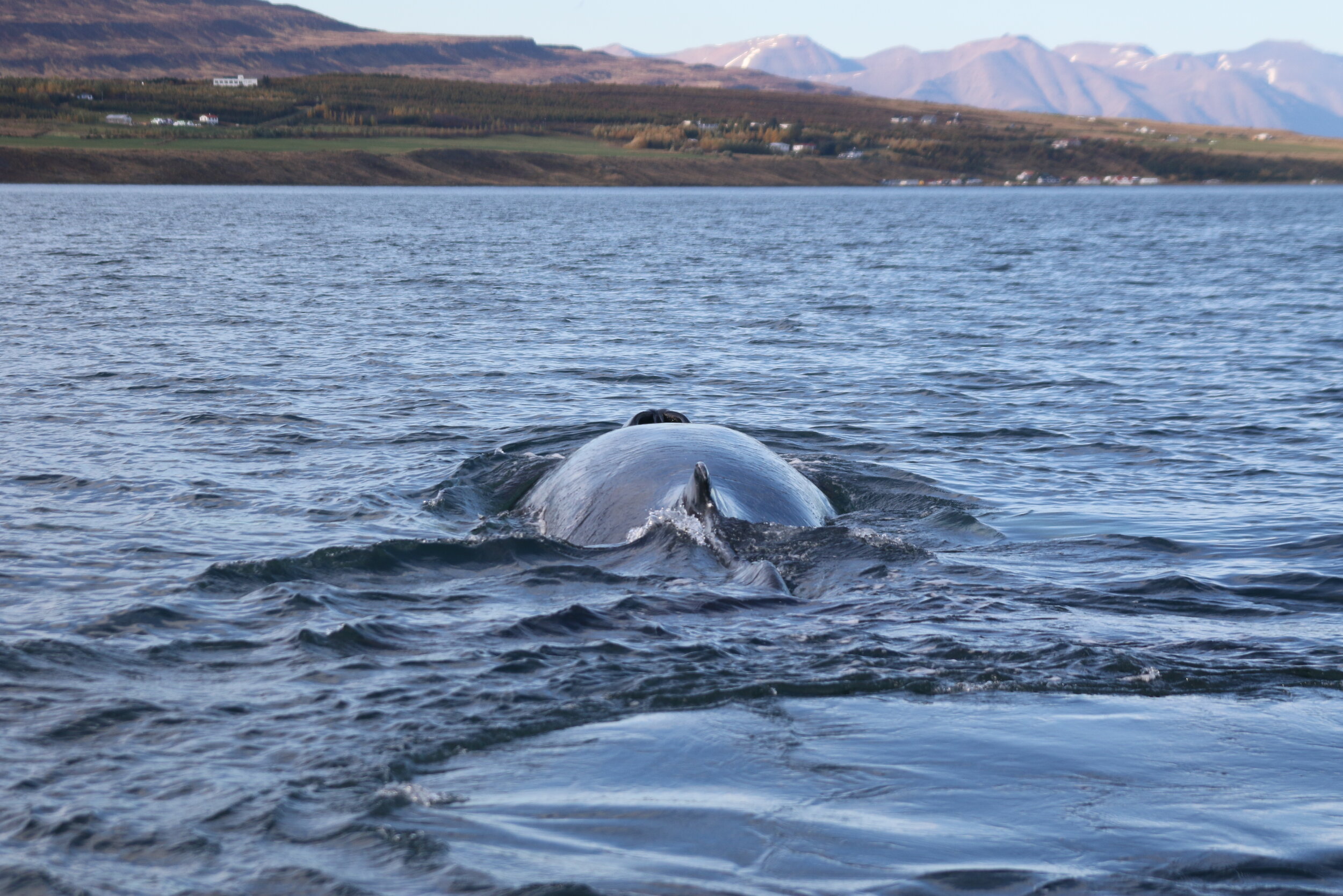 Wednesday, 25 September 2019