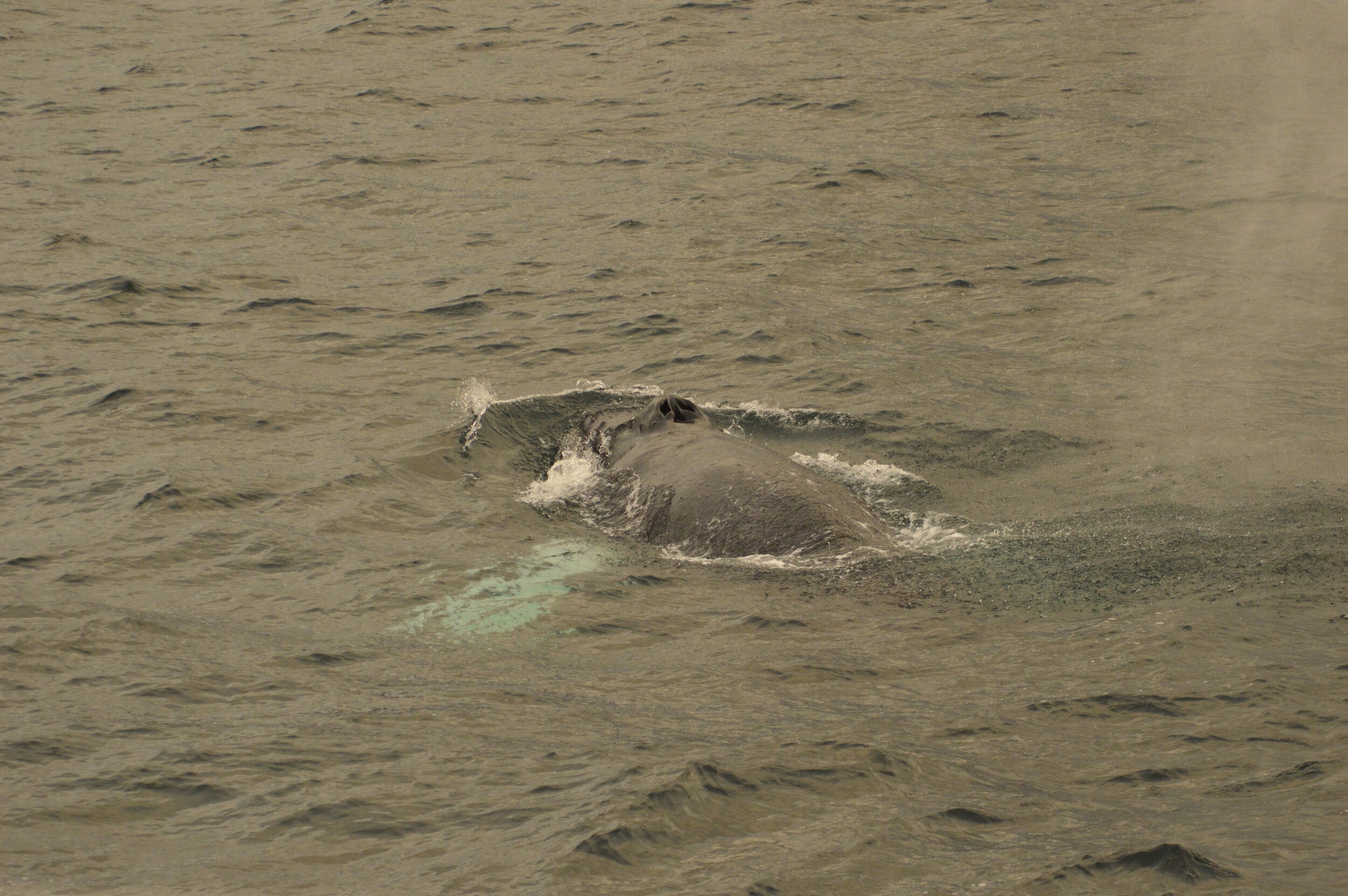 Tuesday, 15 October 2019