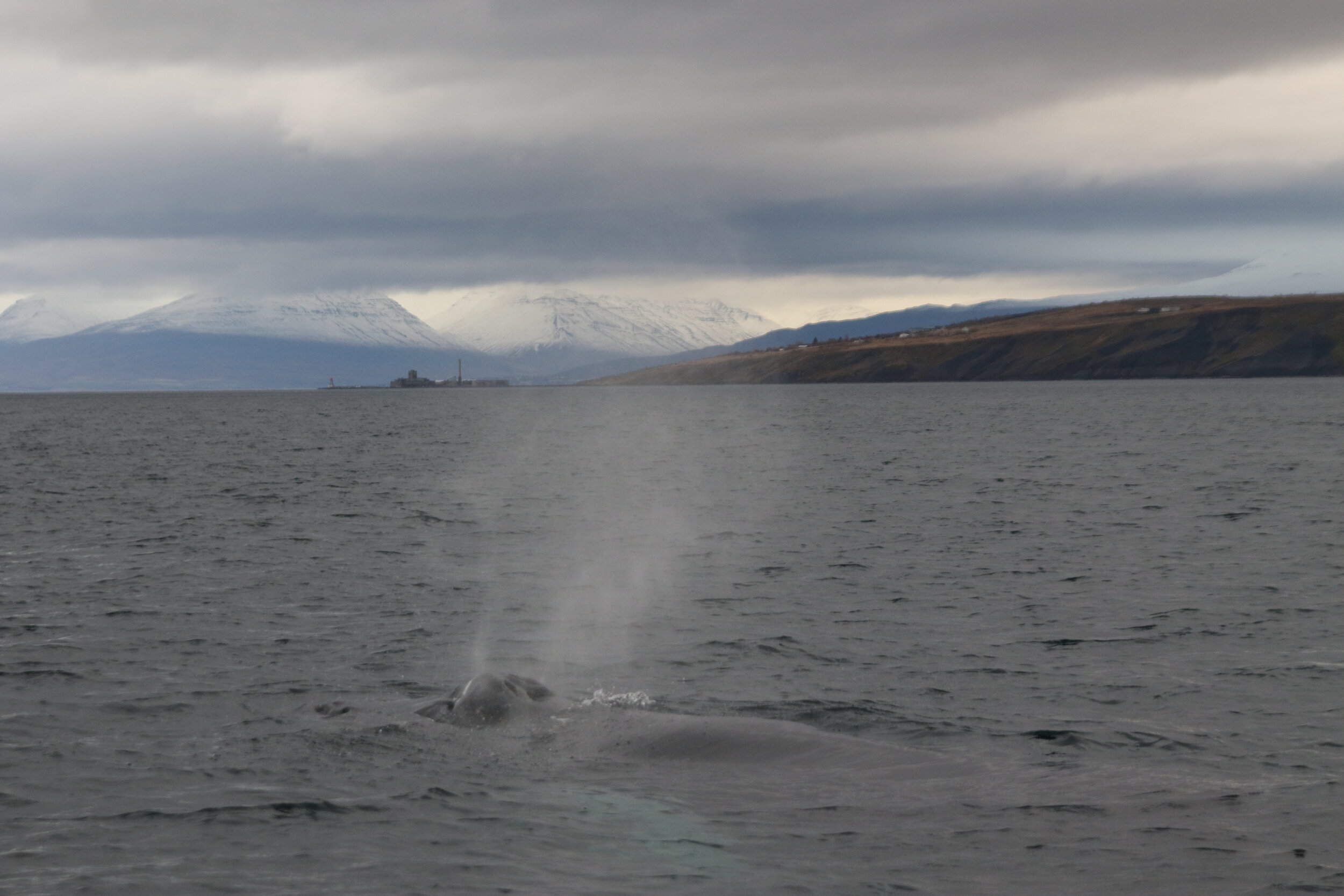 Tuesday, 15 October 2019