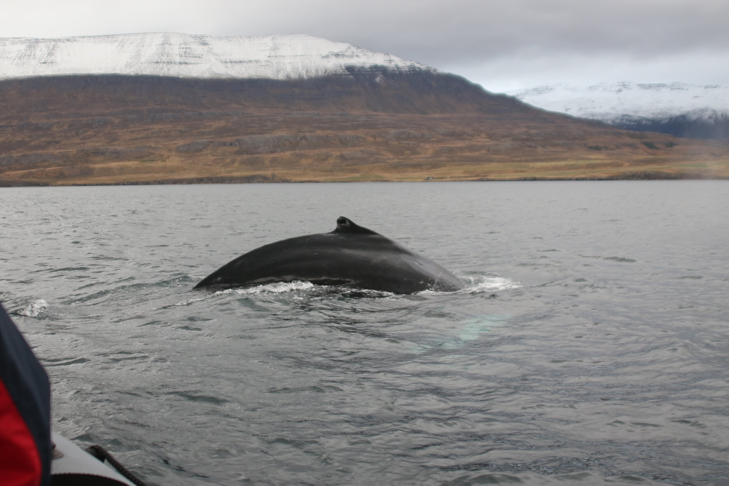 Tuesday, 15 October 2019