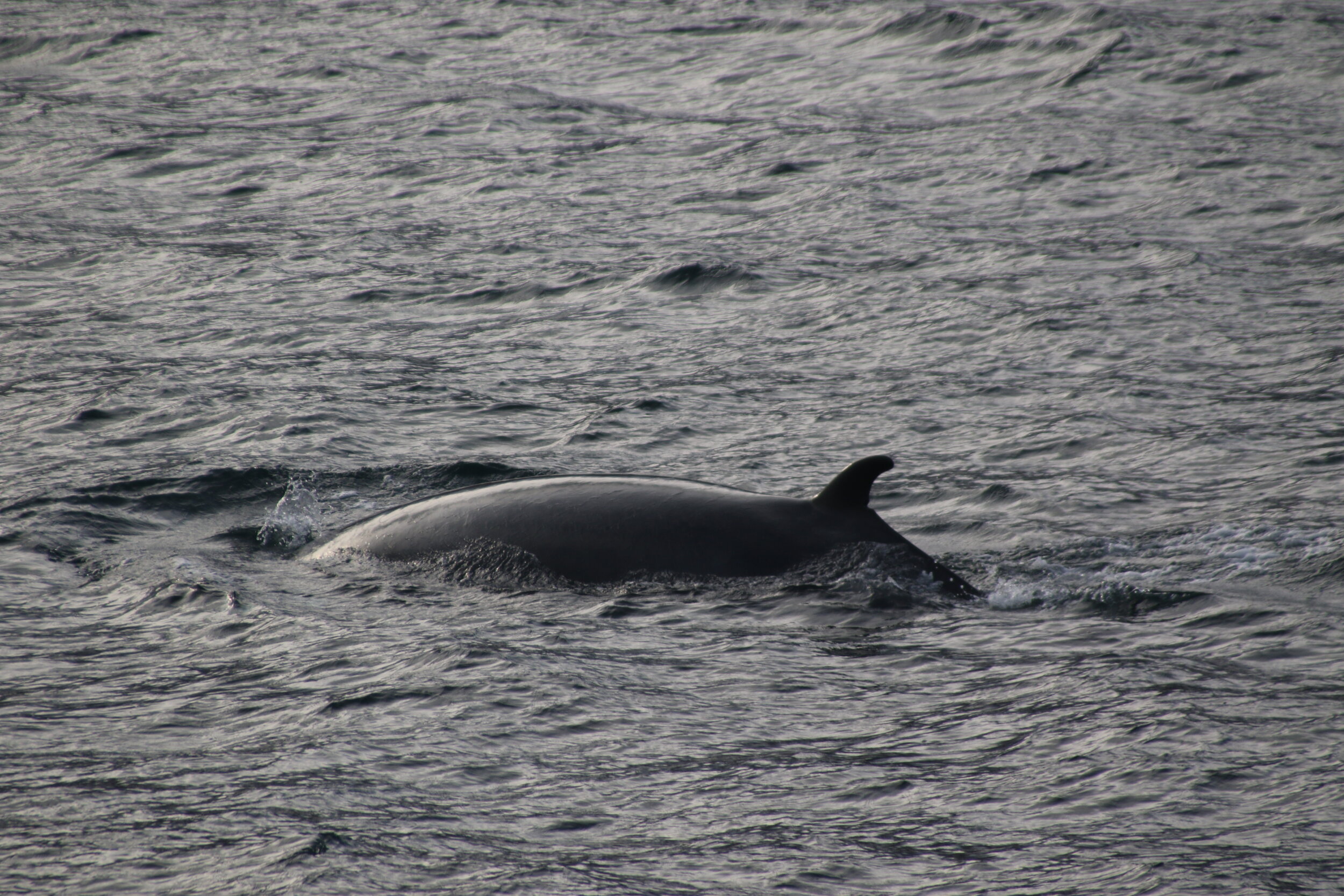 Wednesday, 16 October 2019