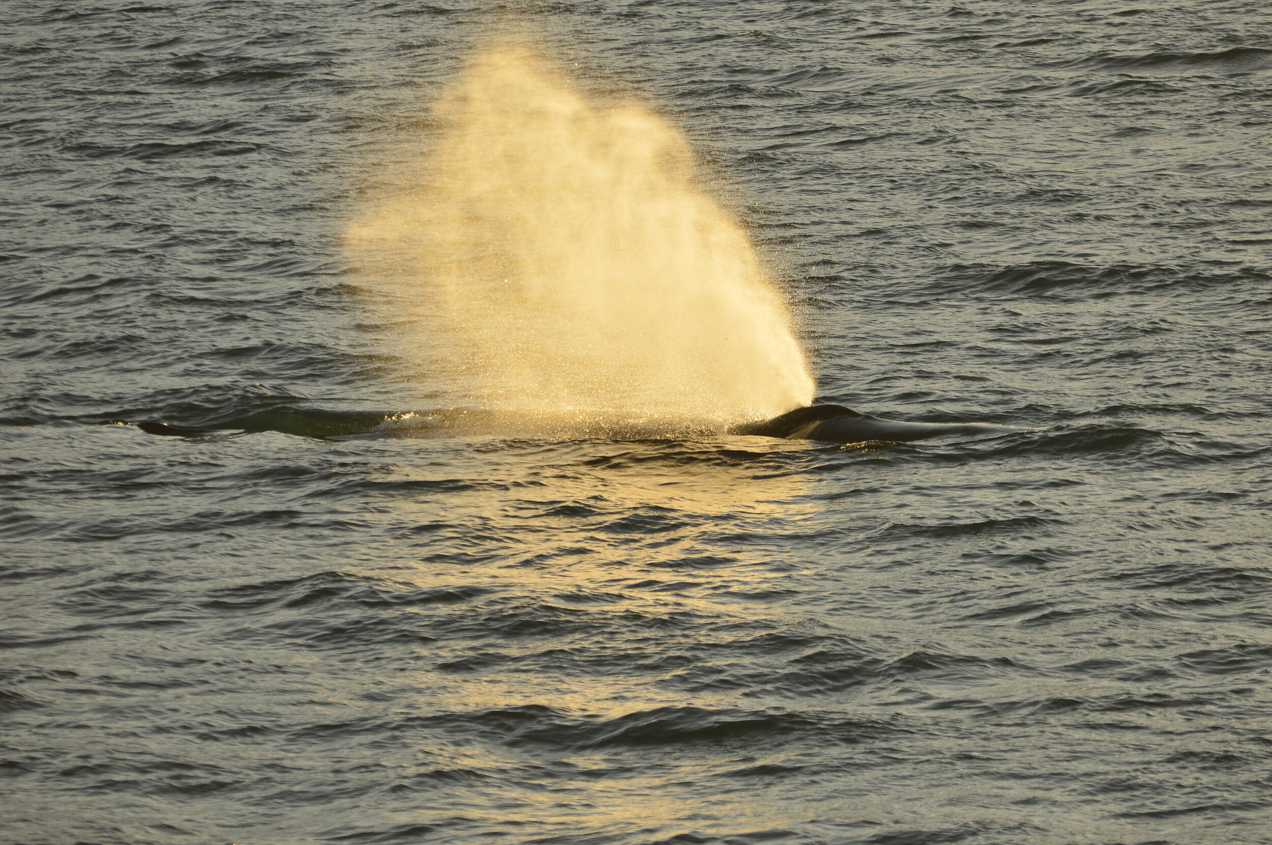 Monday, 28 October 2019