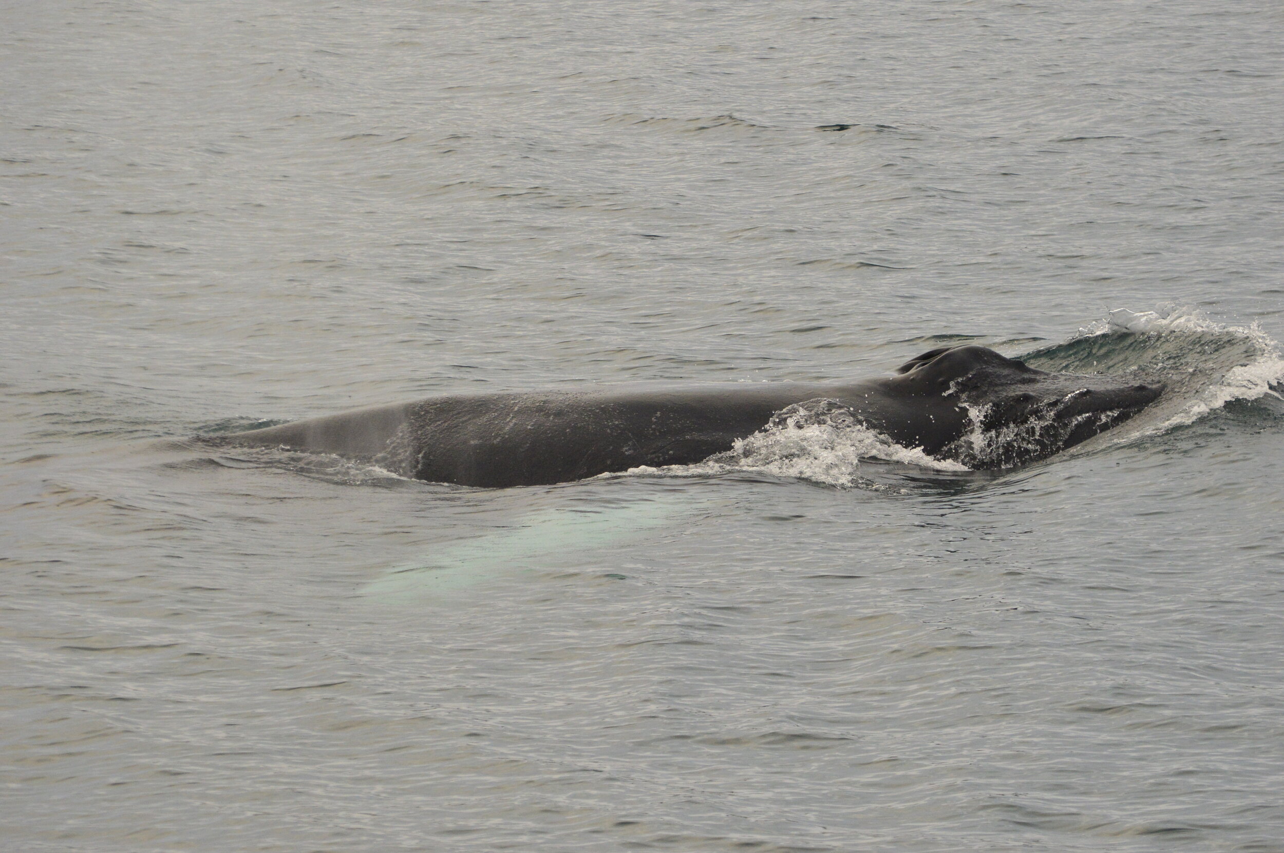 Wednesday, 30 October 2019