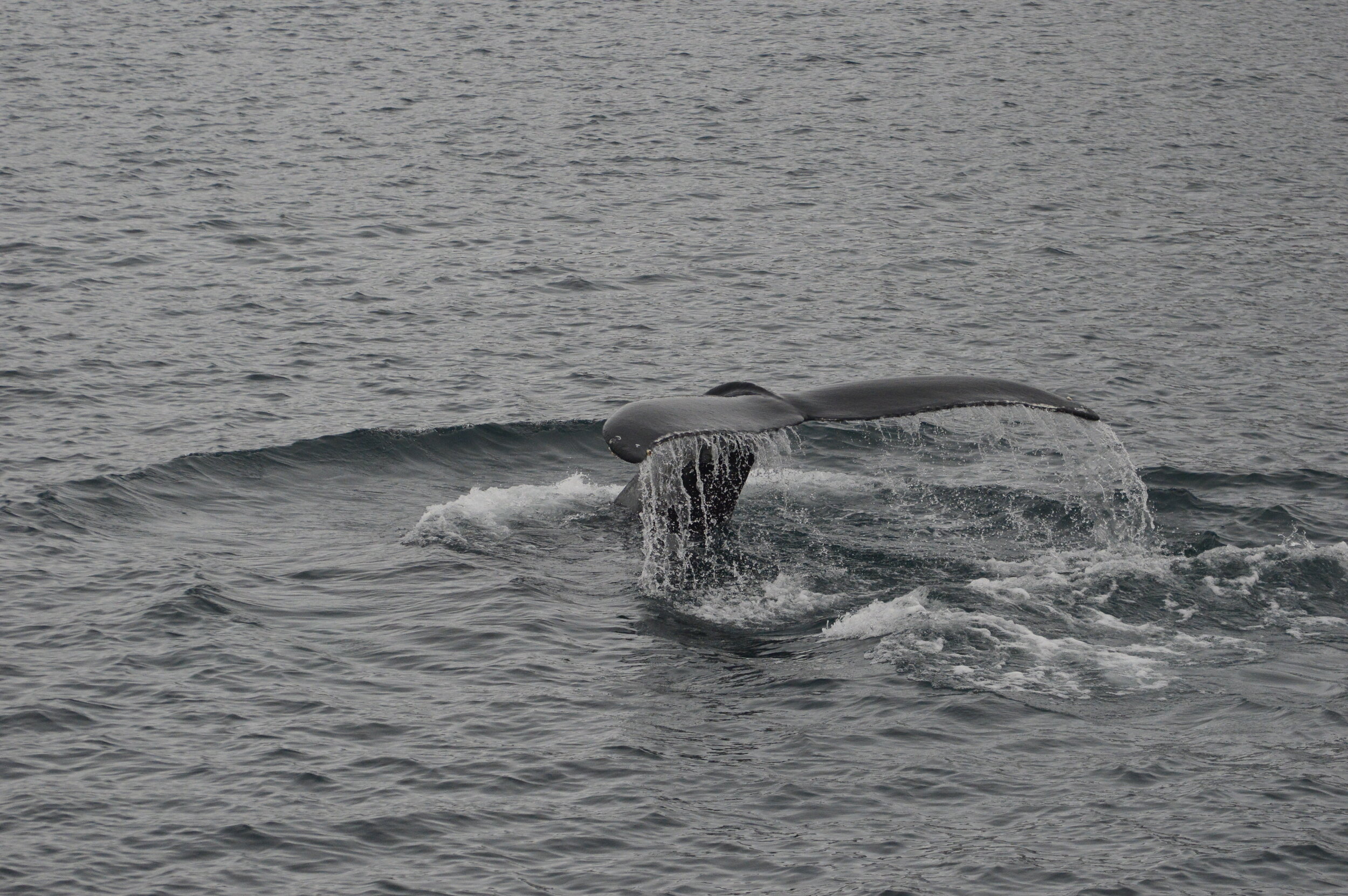 Wednesday, 30 October 2019