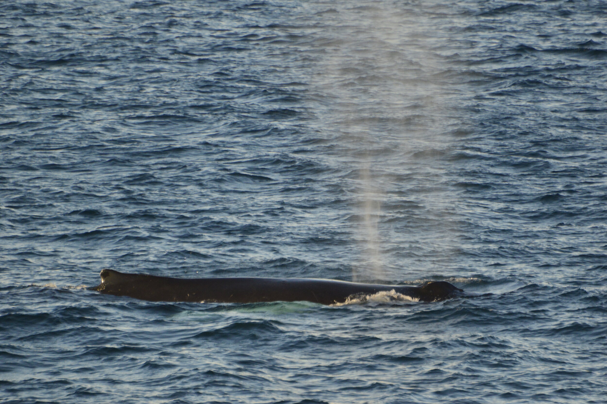 Thursday, 31 October 2019