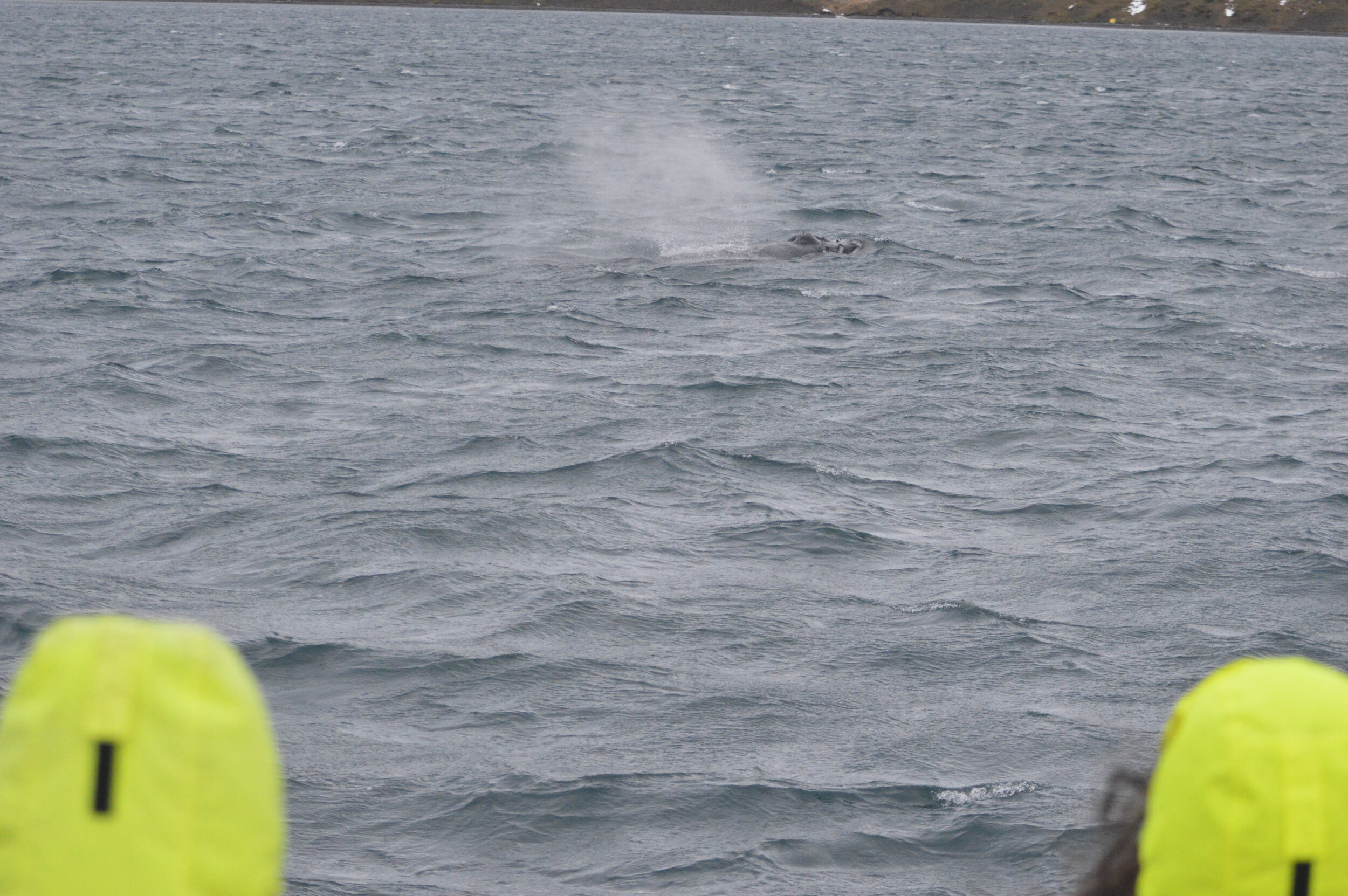 Tuesday, 19 November 2019