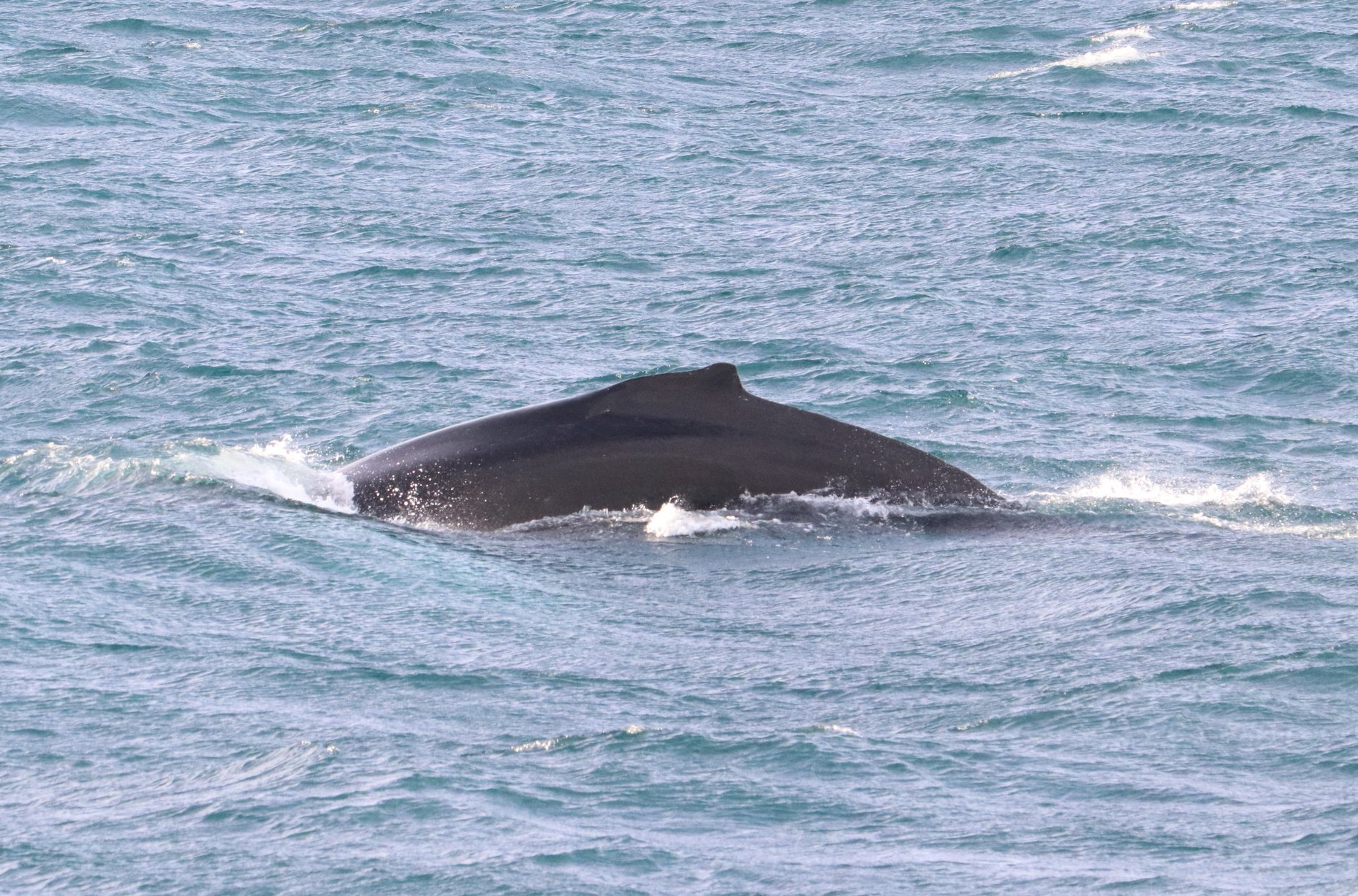 Tuesday, 12 February 2019