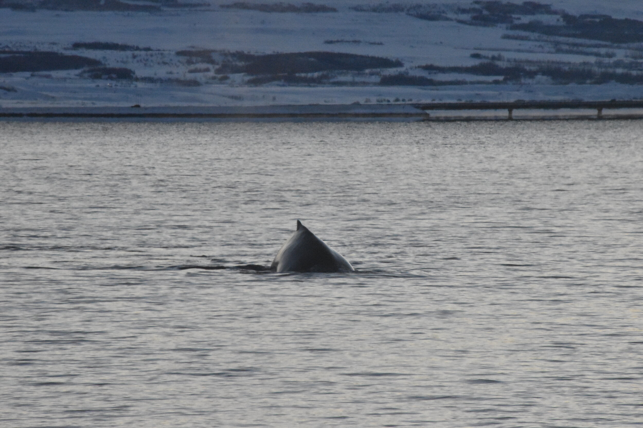 Tuesday, 24 December 2019