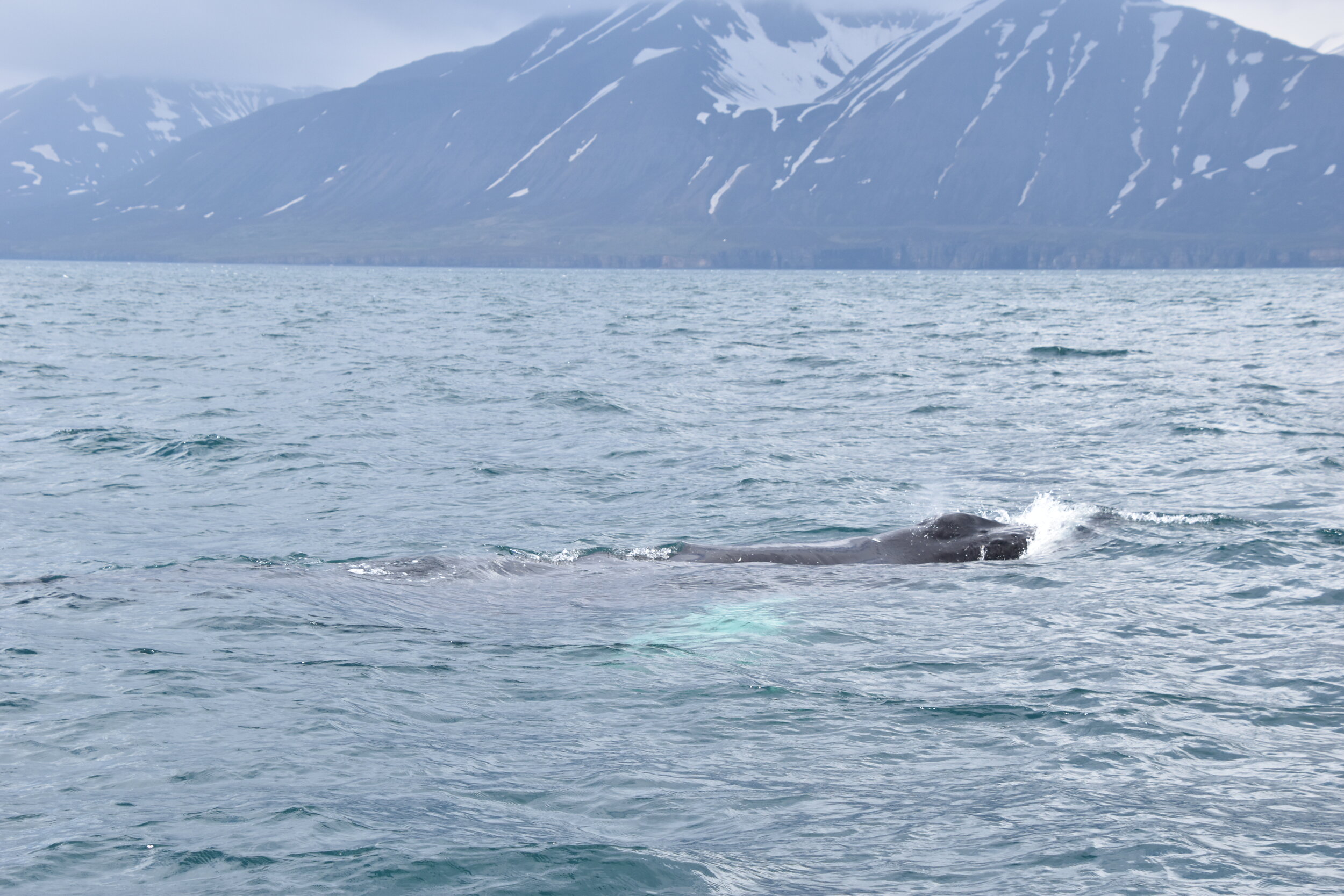 Friday, 24 May 2019