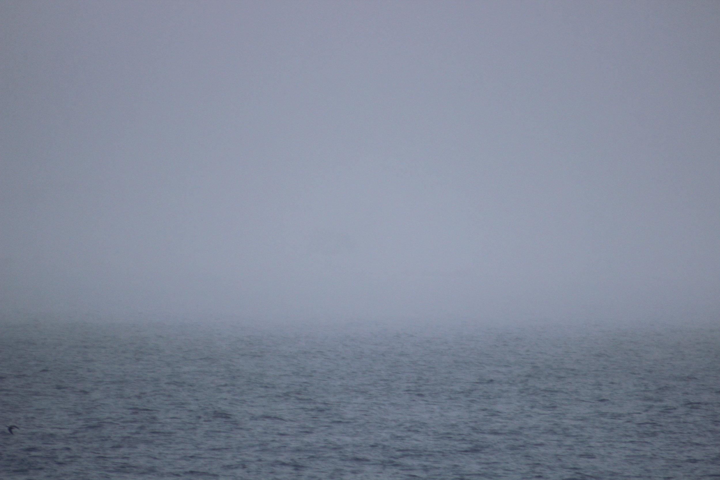 Wednesday, 13 February 2019