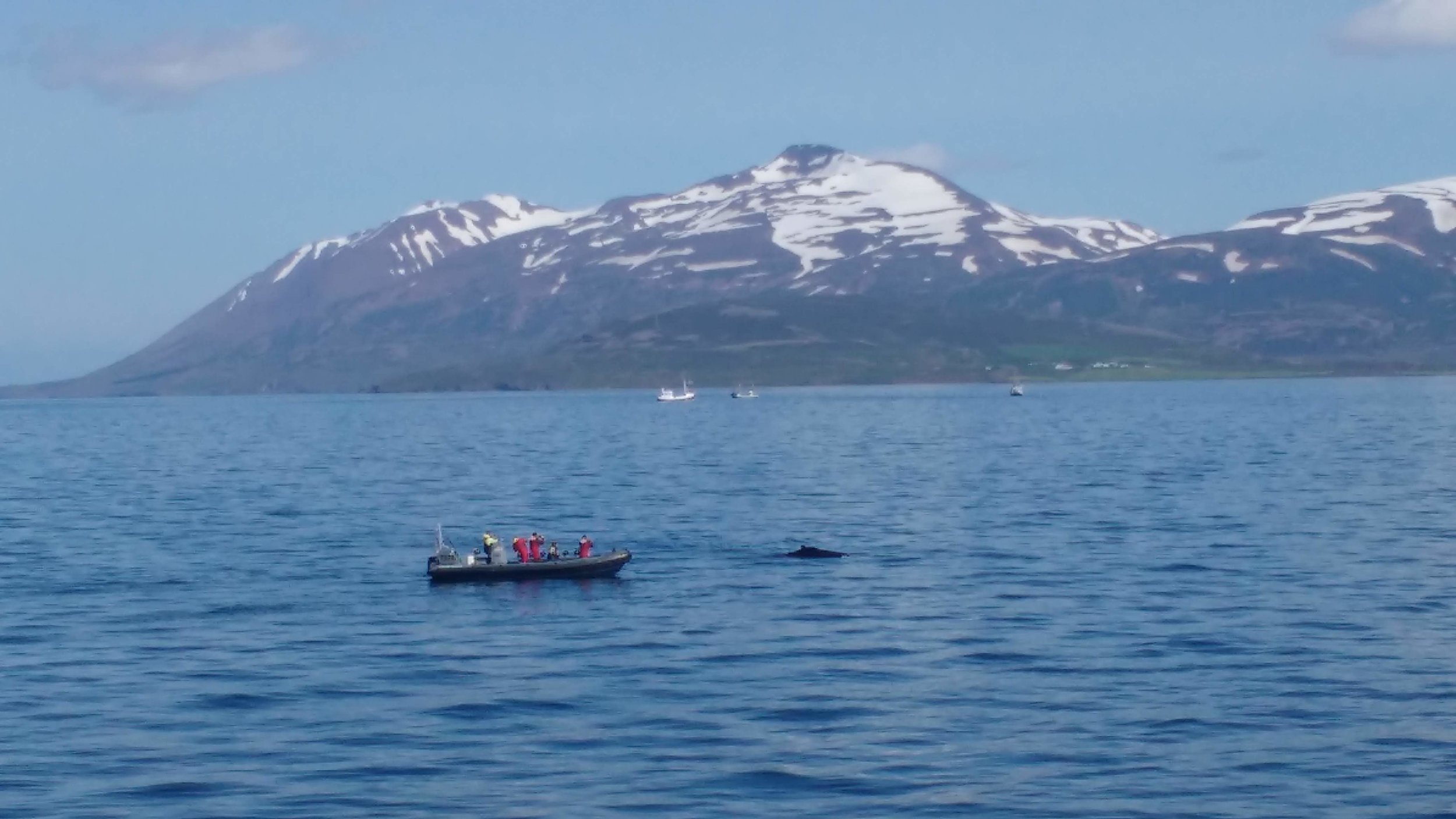 Wednesday, 26 June 2019