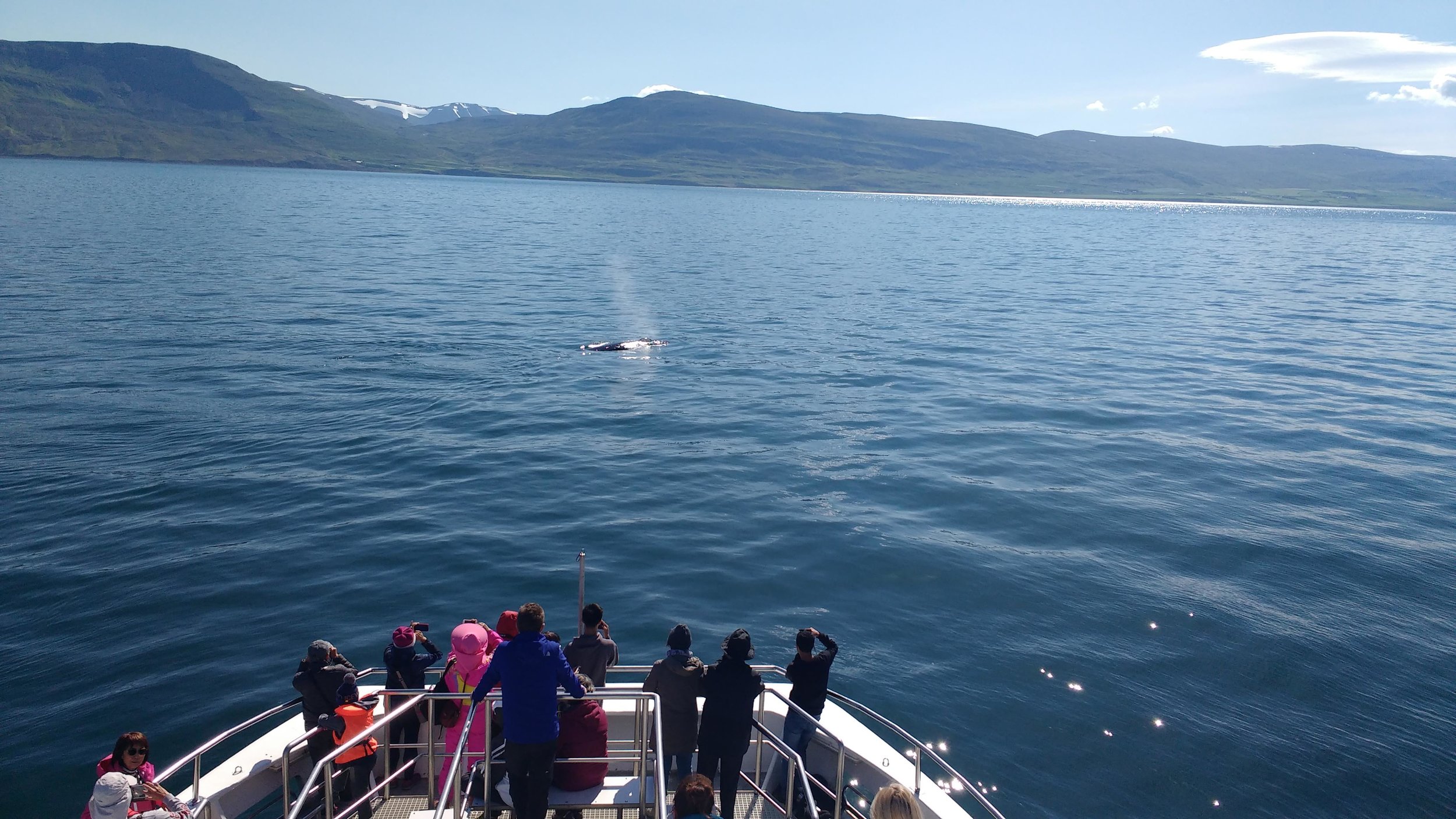 Wednesday, 26 June 2019