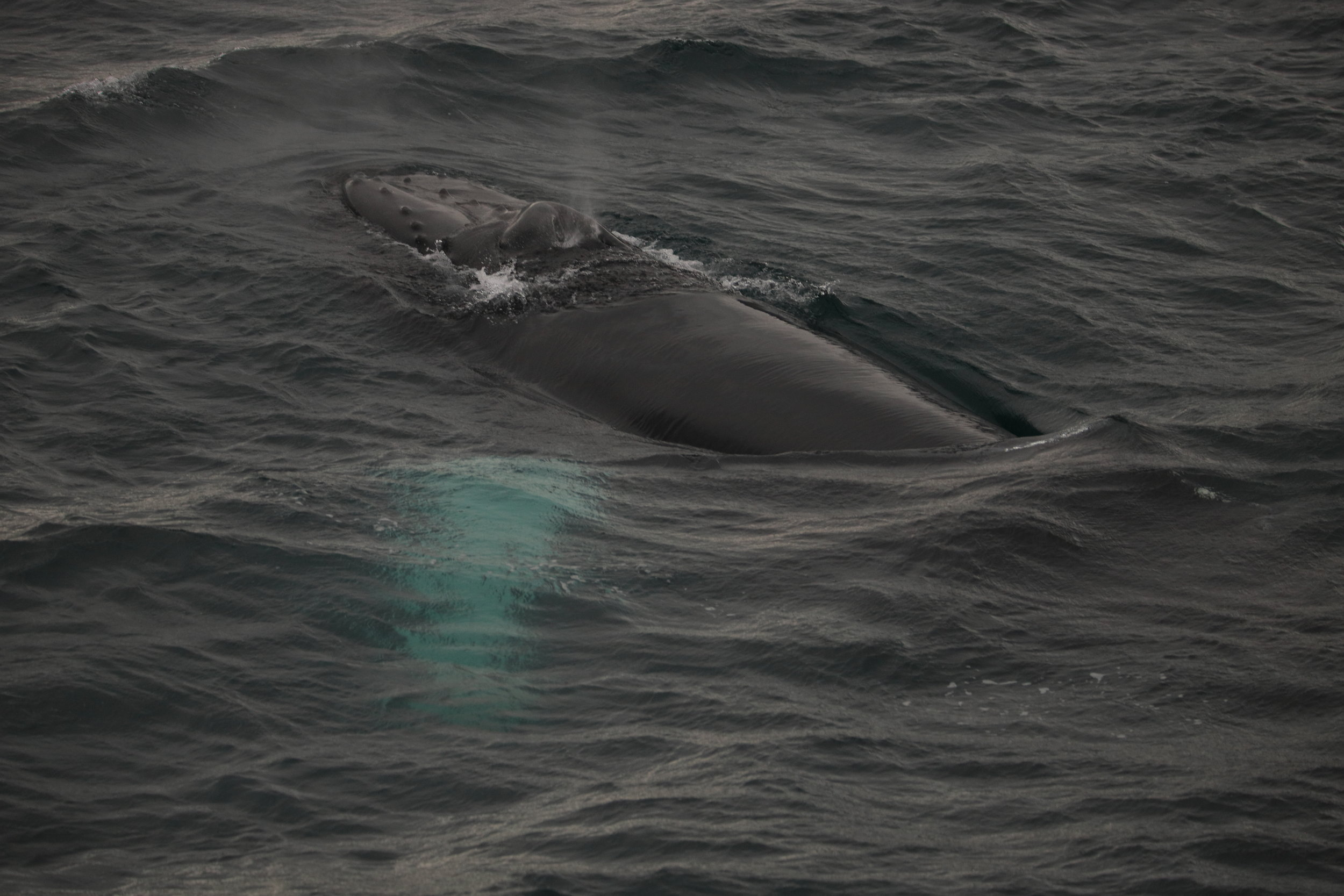 Wednesday, 12 June 2019