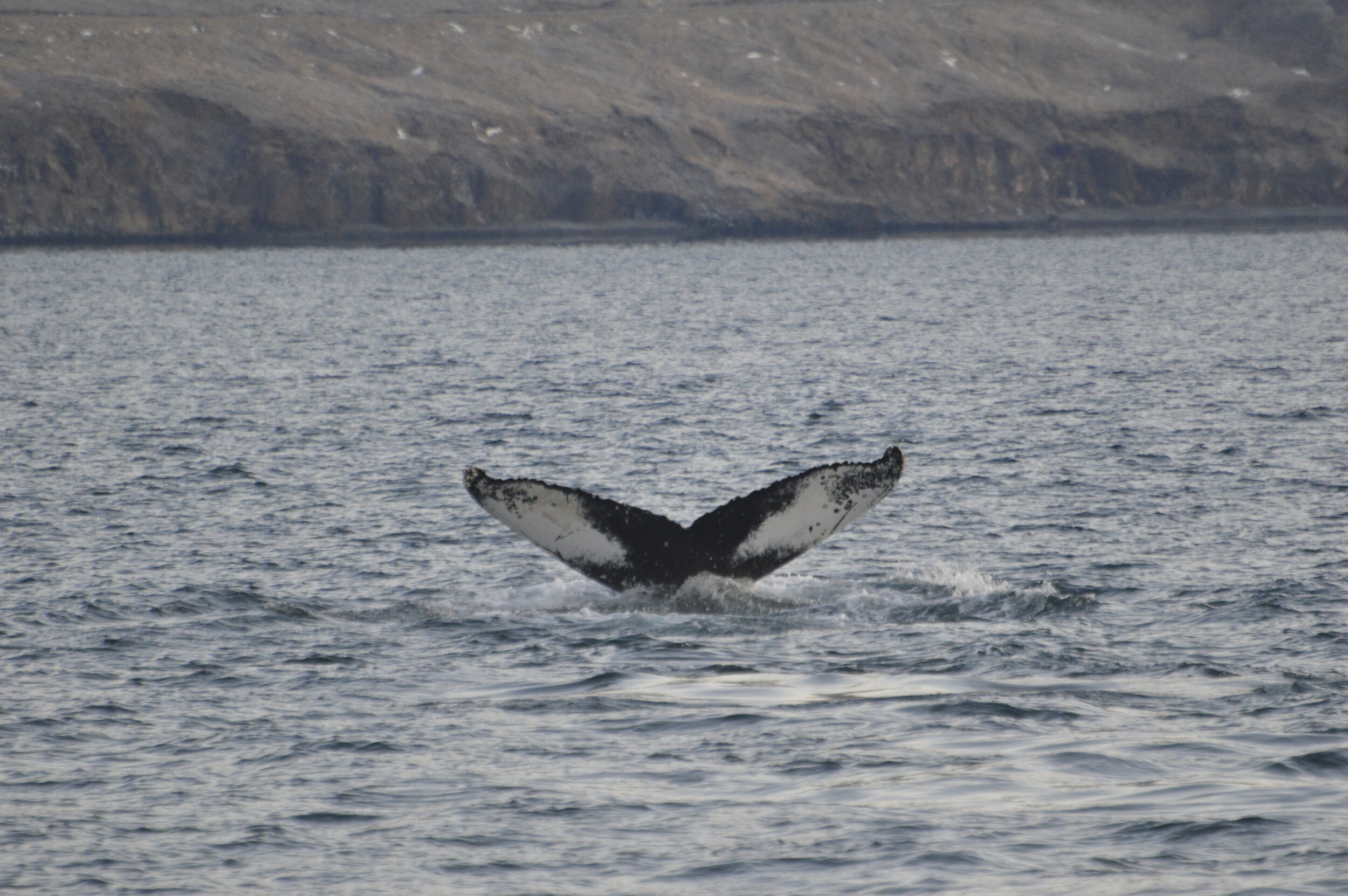 Tuesday, 26 November 2019