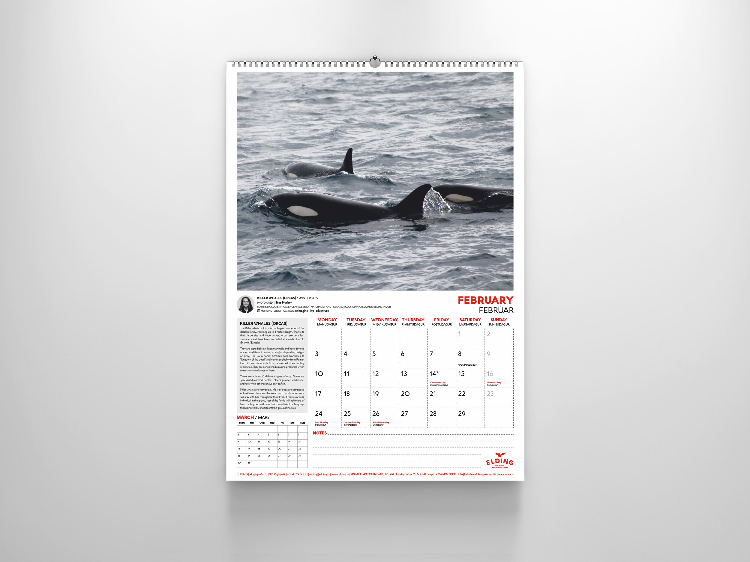 CALENDARS 2020