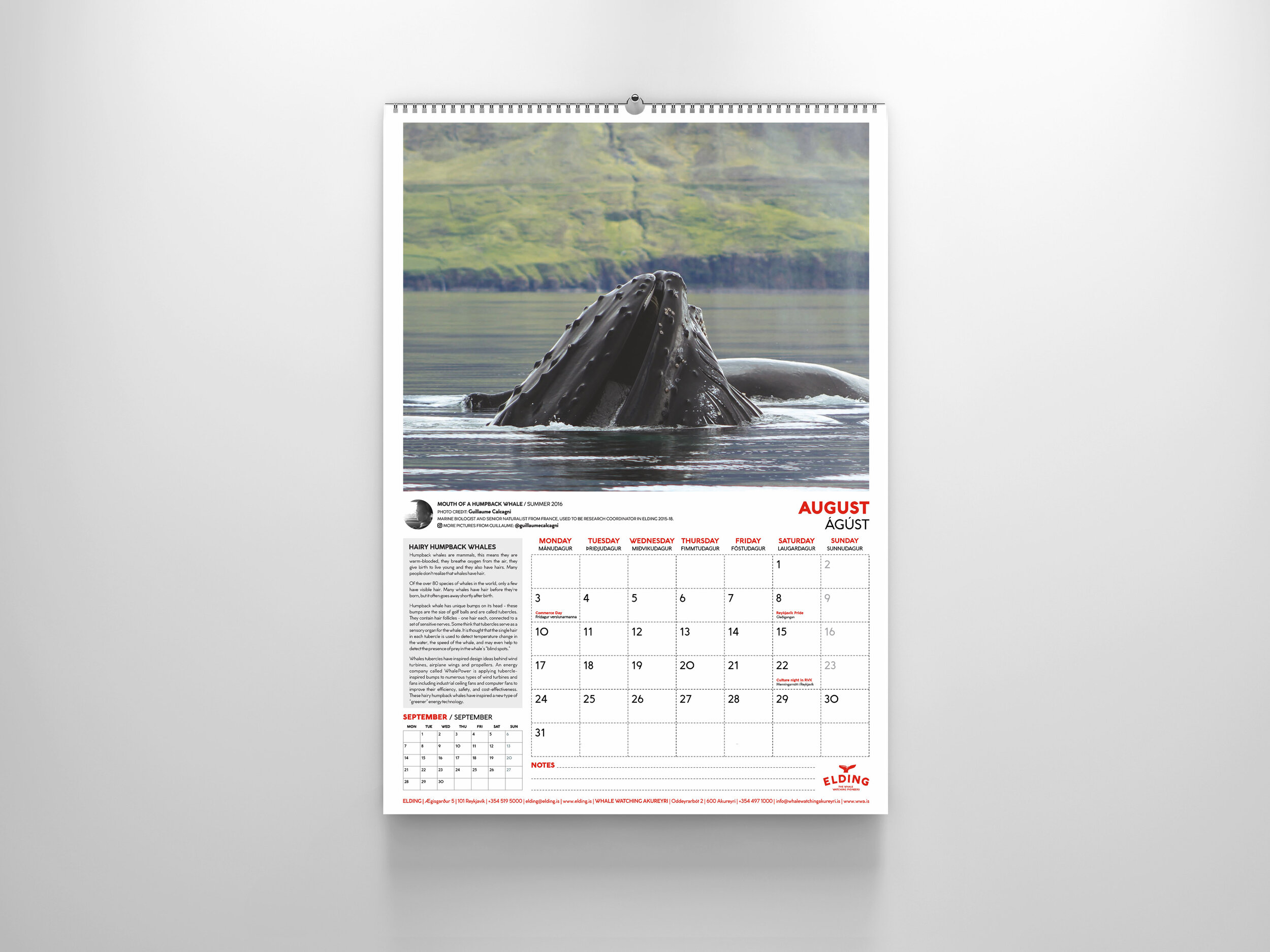 CALENDARS 2020