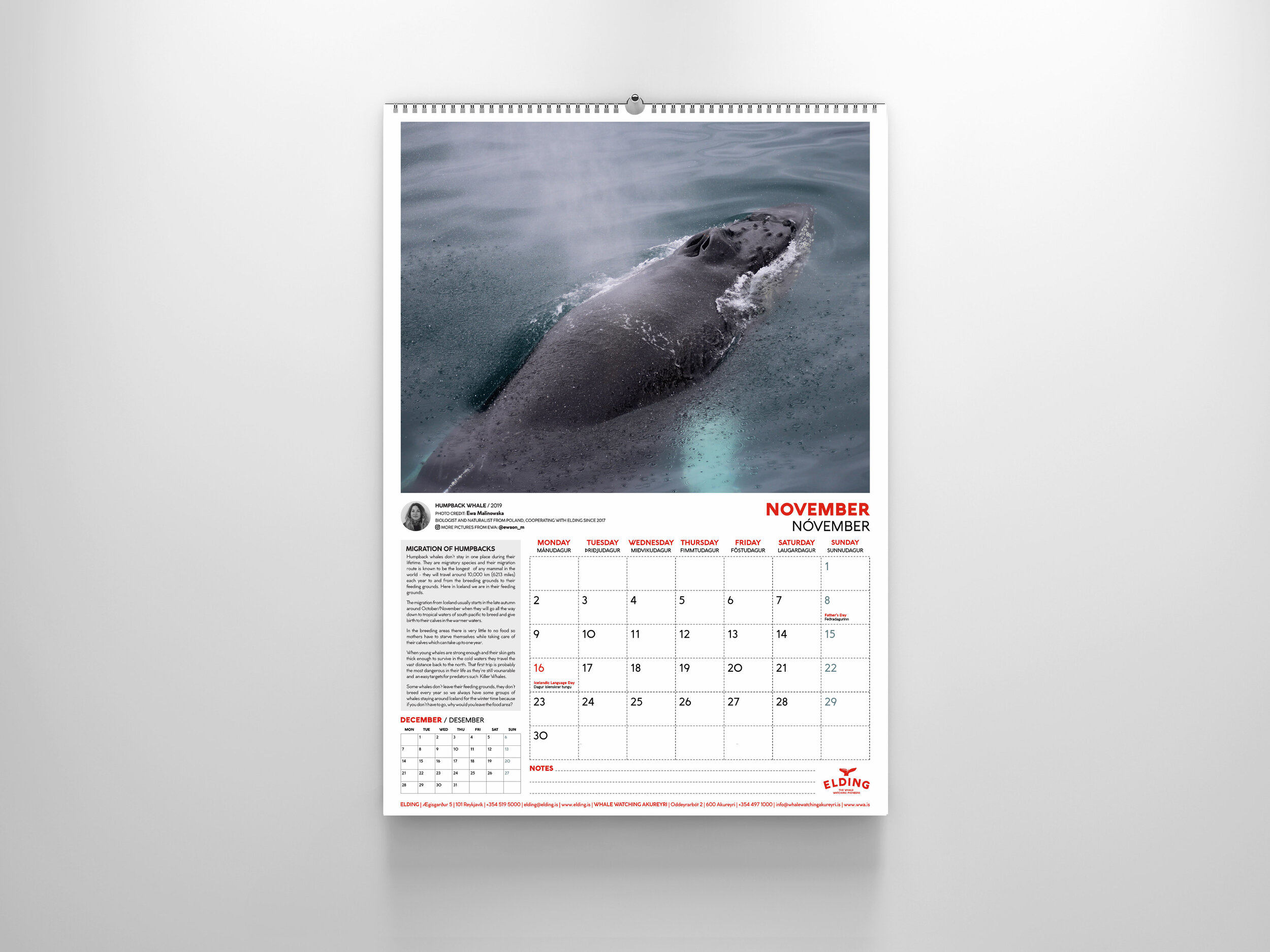 CALENDARS 2020