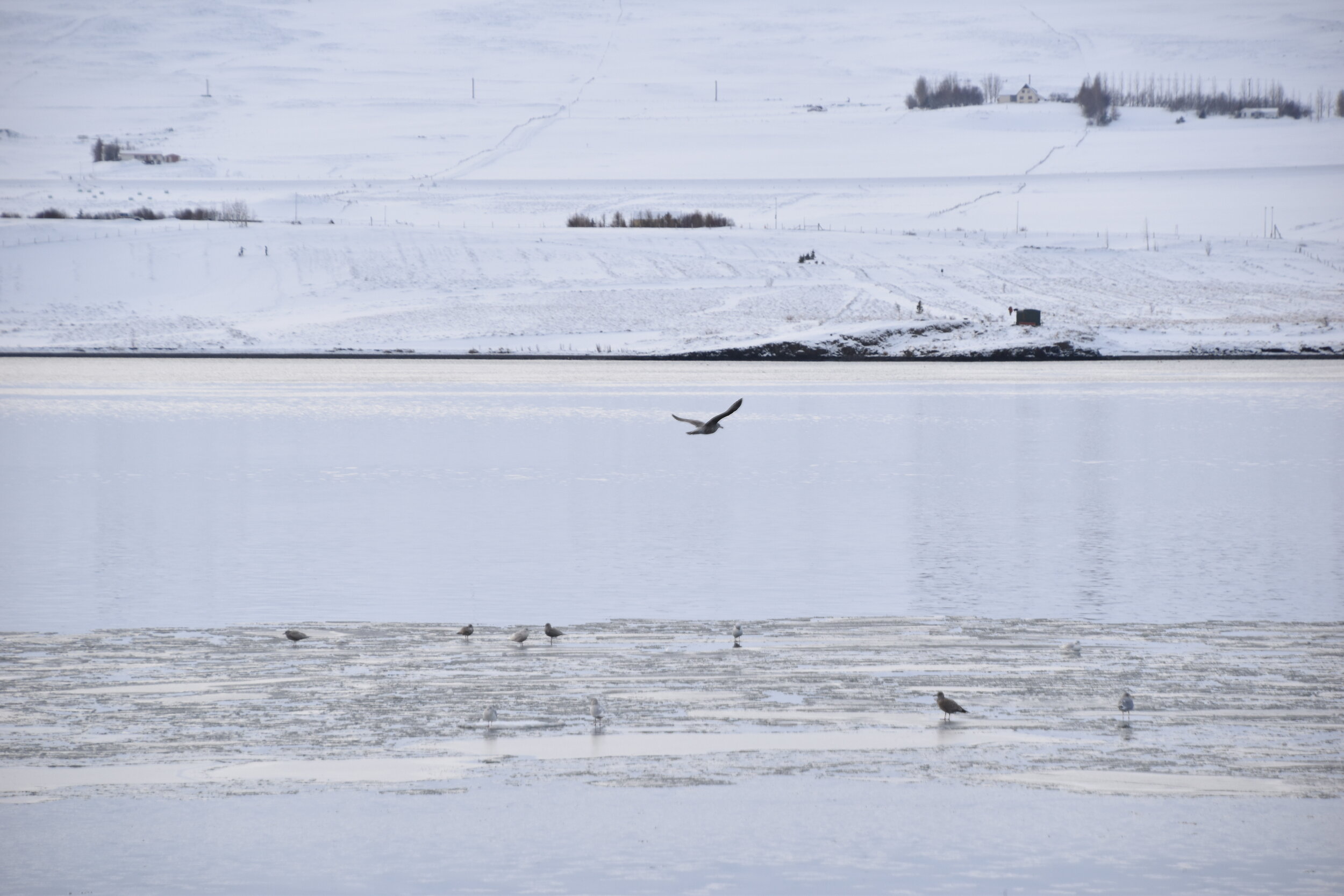 Wednesday, 12 February 2020
