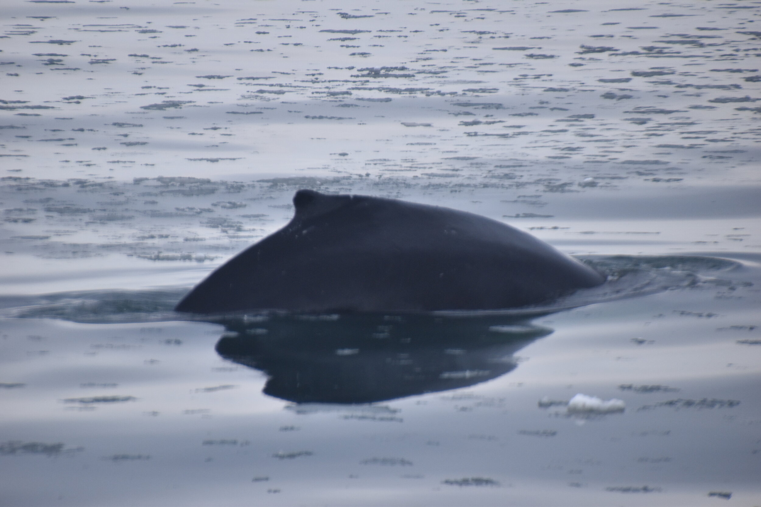 Tuesday, 18 February 2020