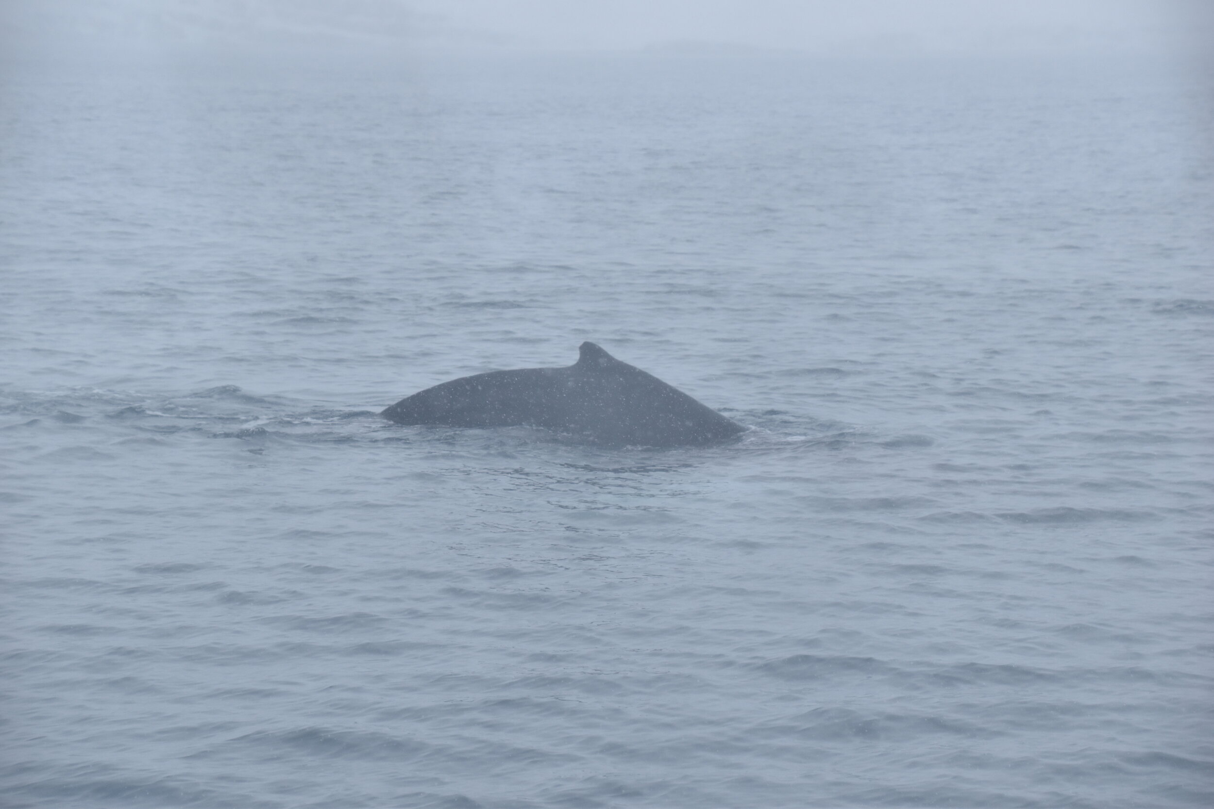 Tuesday, 25 February 2020
