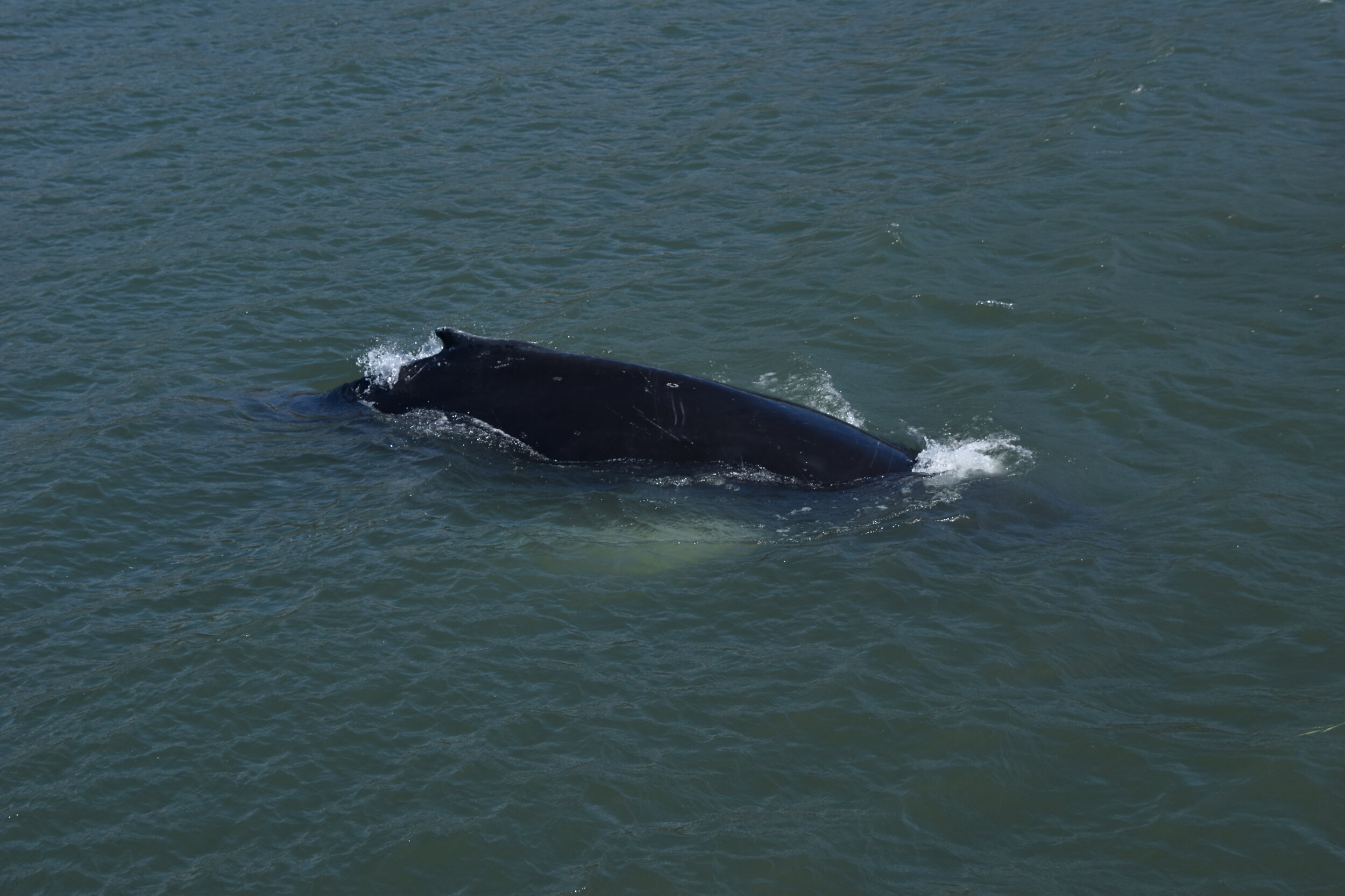 Thursday, 2 July 2020
