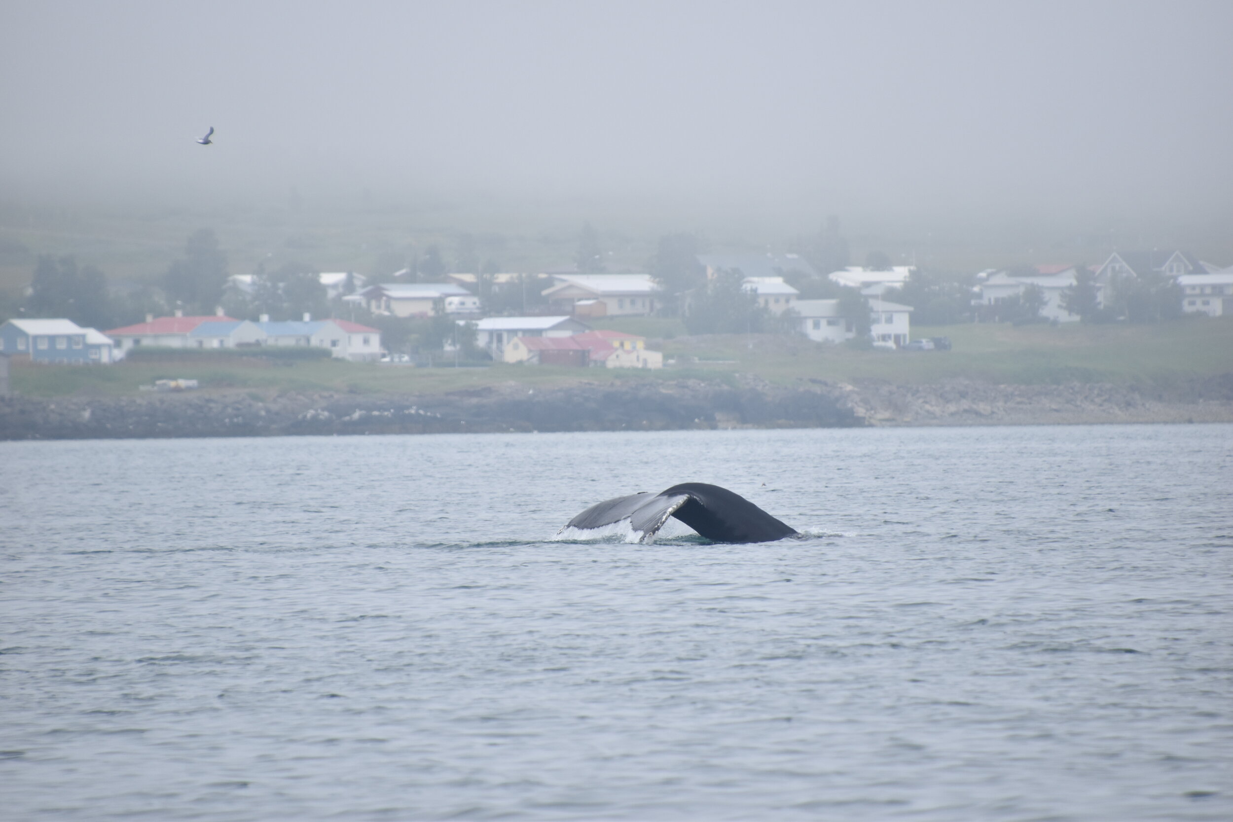 Tuesday, 14 July 2020