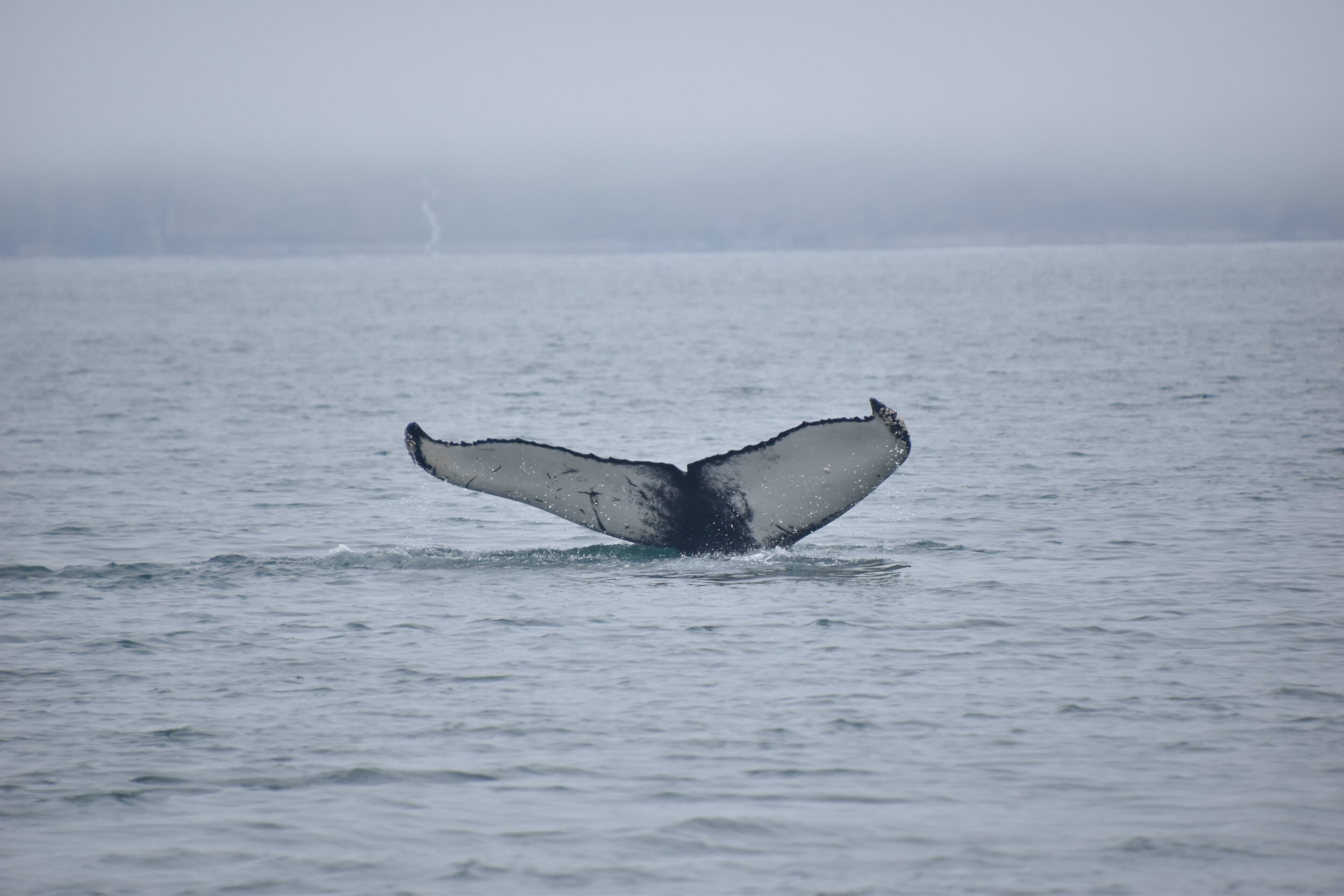 Tuesday, 14 July 2020