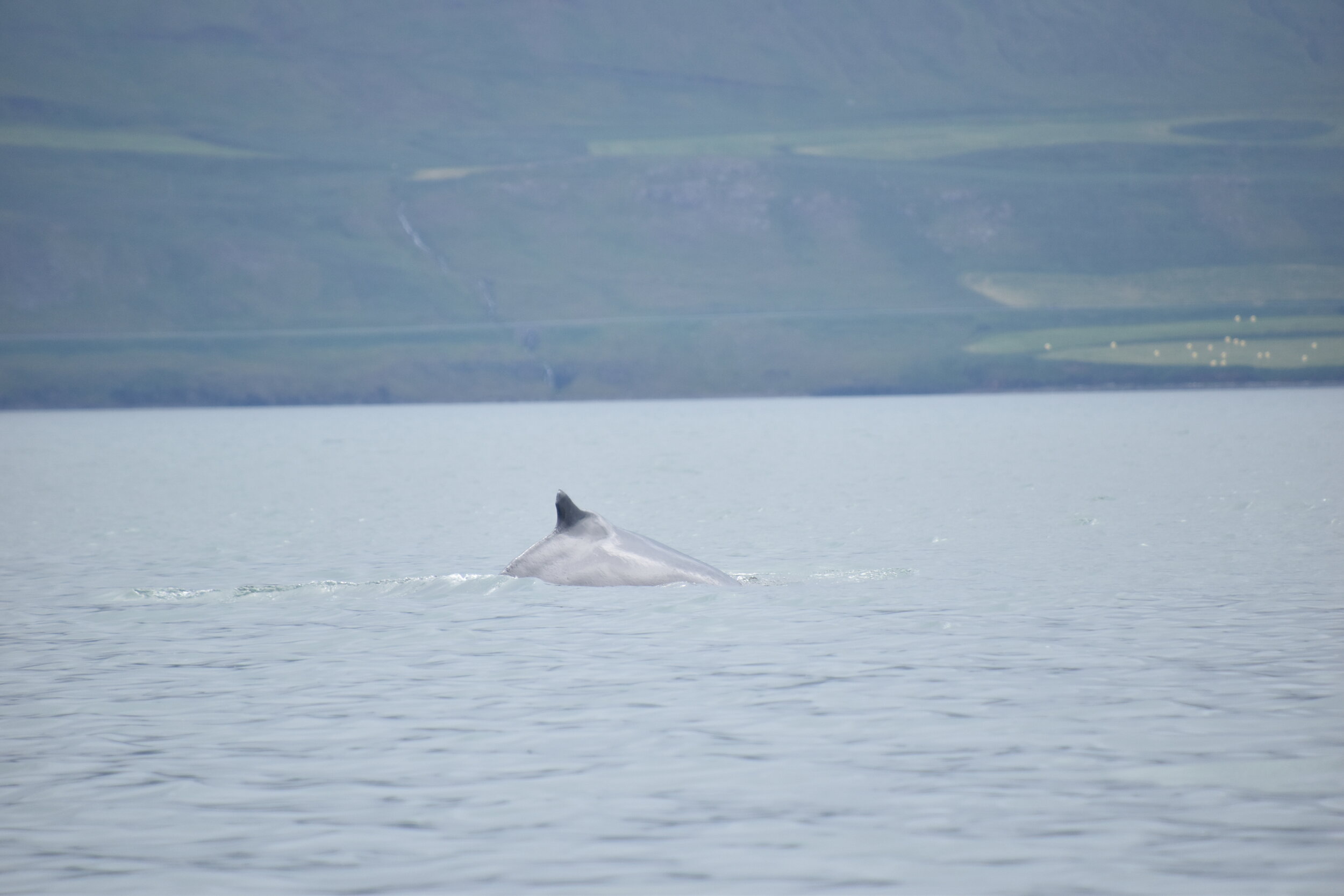 Wednesday, 15 July 2020