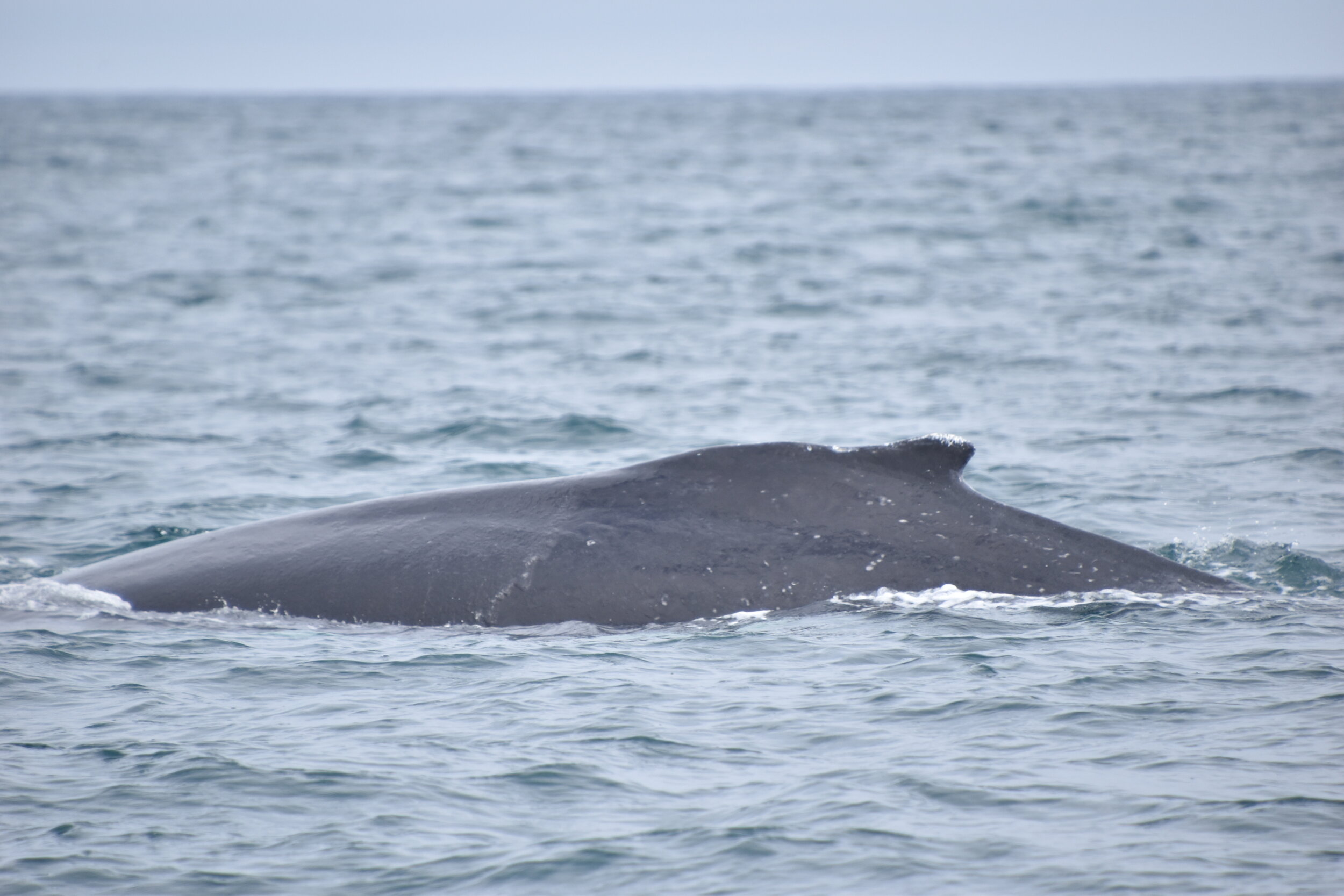Wednesday, 22 July 2020