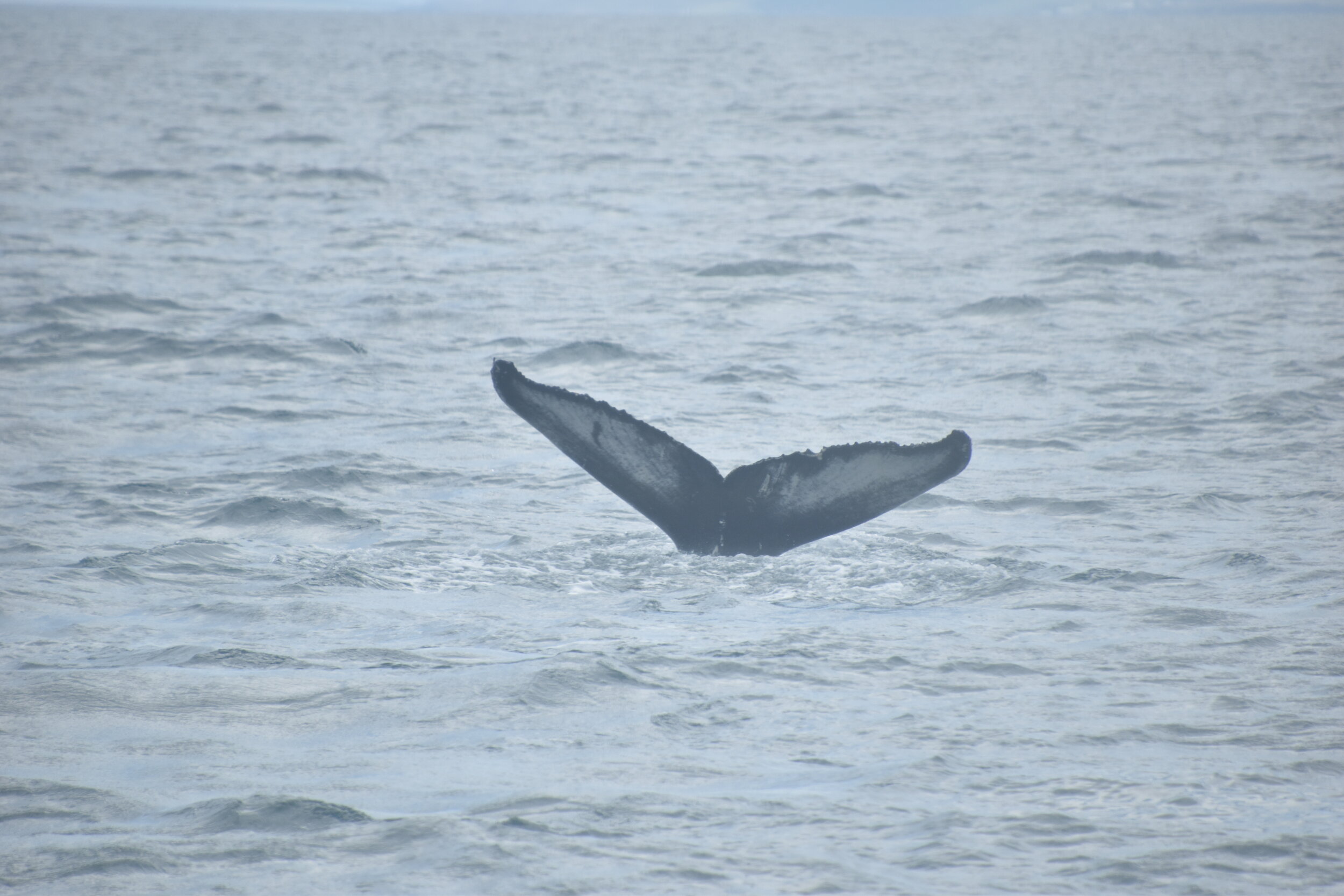Wednesday, 22 July 2020