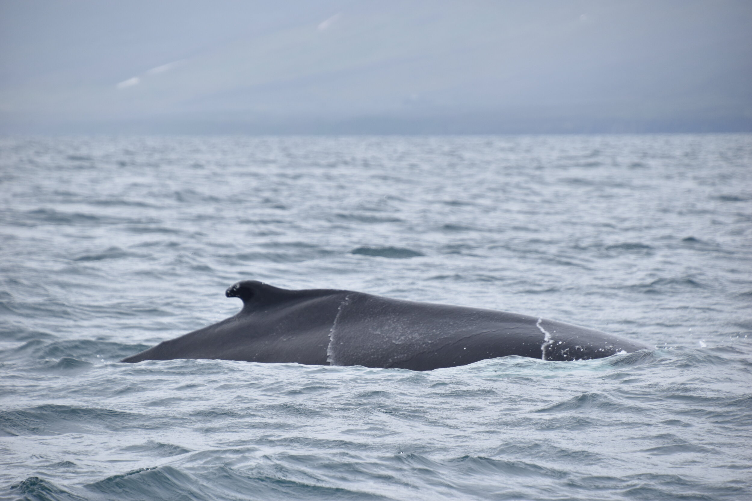 Thursday, 23 July 2020