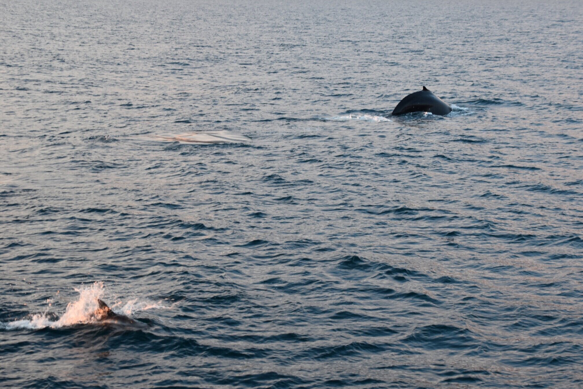 Tuesday, 28 July 2020