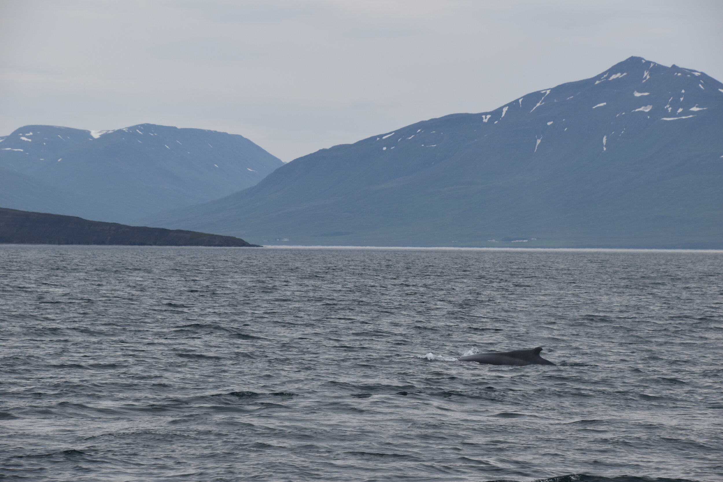 Tuesday, 11 August 2020