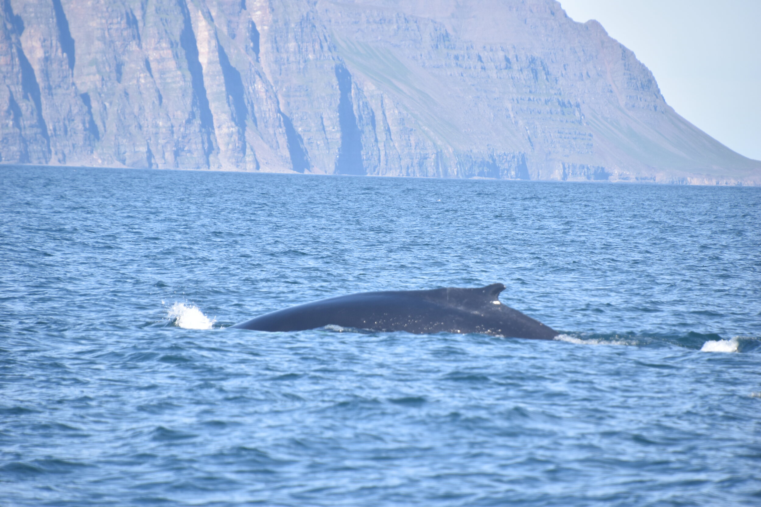 Wednesday, 12 August 2020