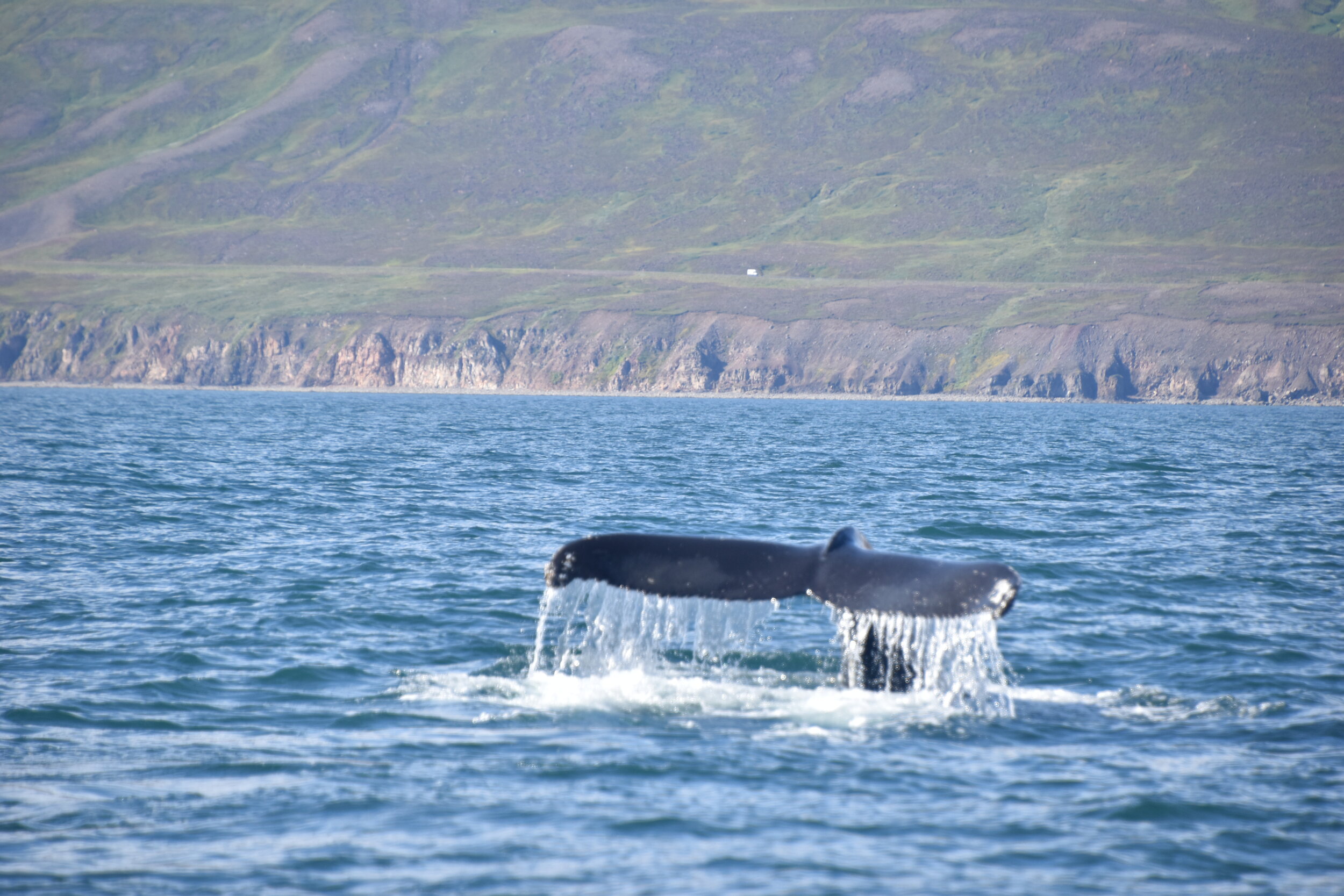 Wednesday, 12 August 2020