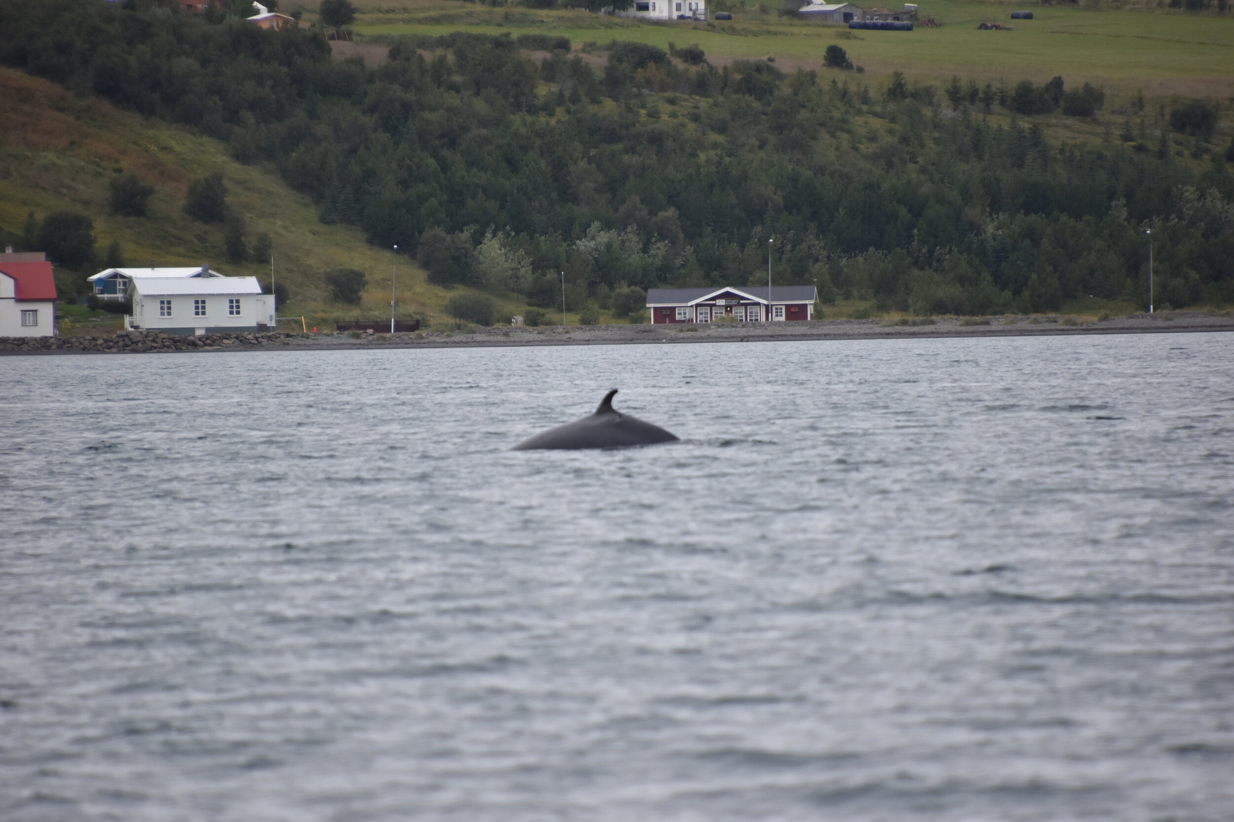 Tuesday, 18 August 2020
