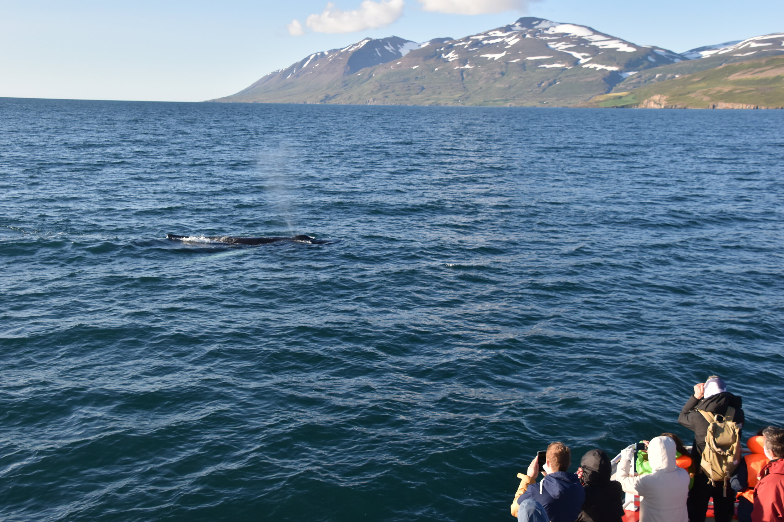 Wednesday, 19 August 2020